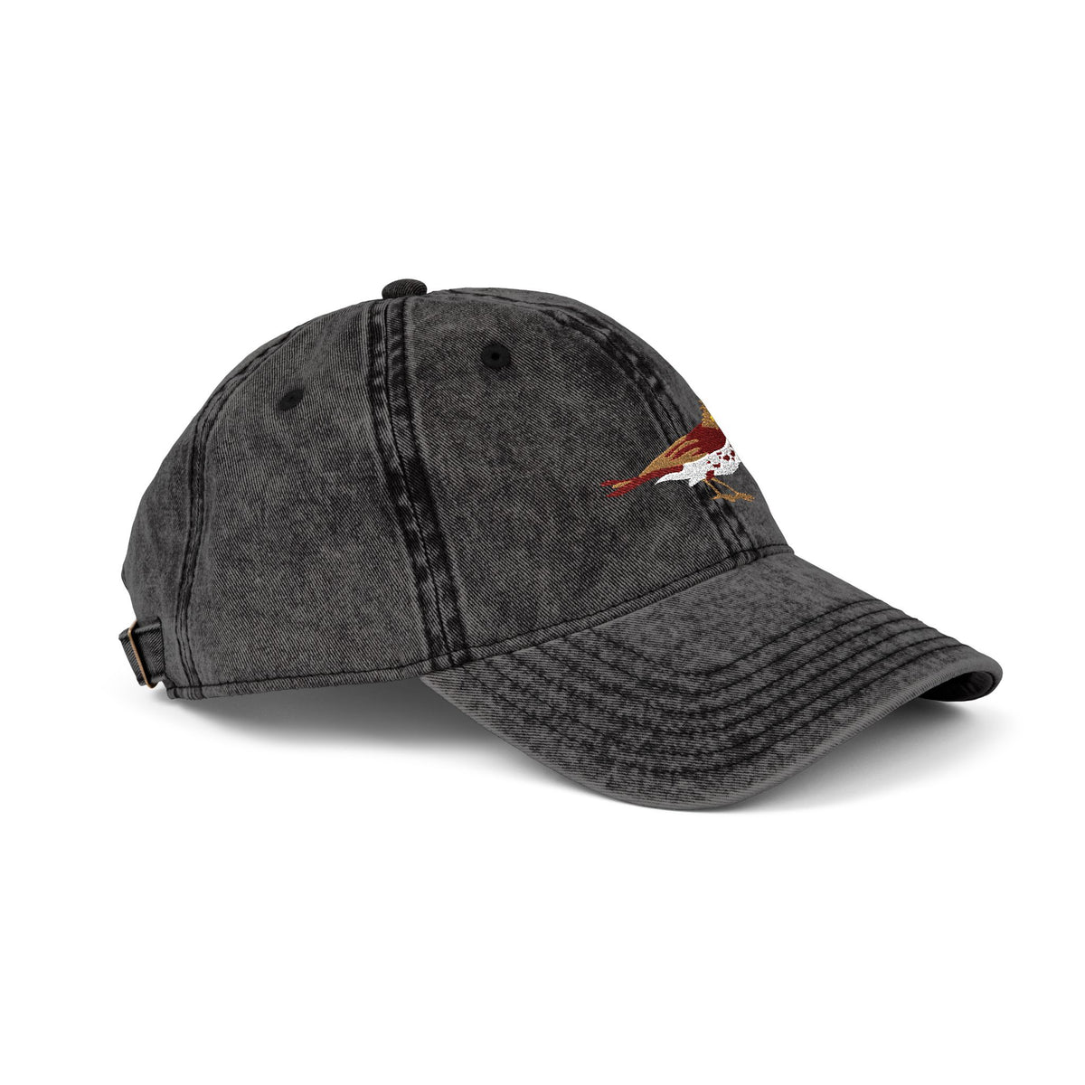 District of Columbia Wood Thrush State Bird  | Vintage Distressed Embroidered Baseball Cap