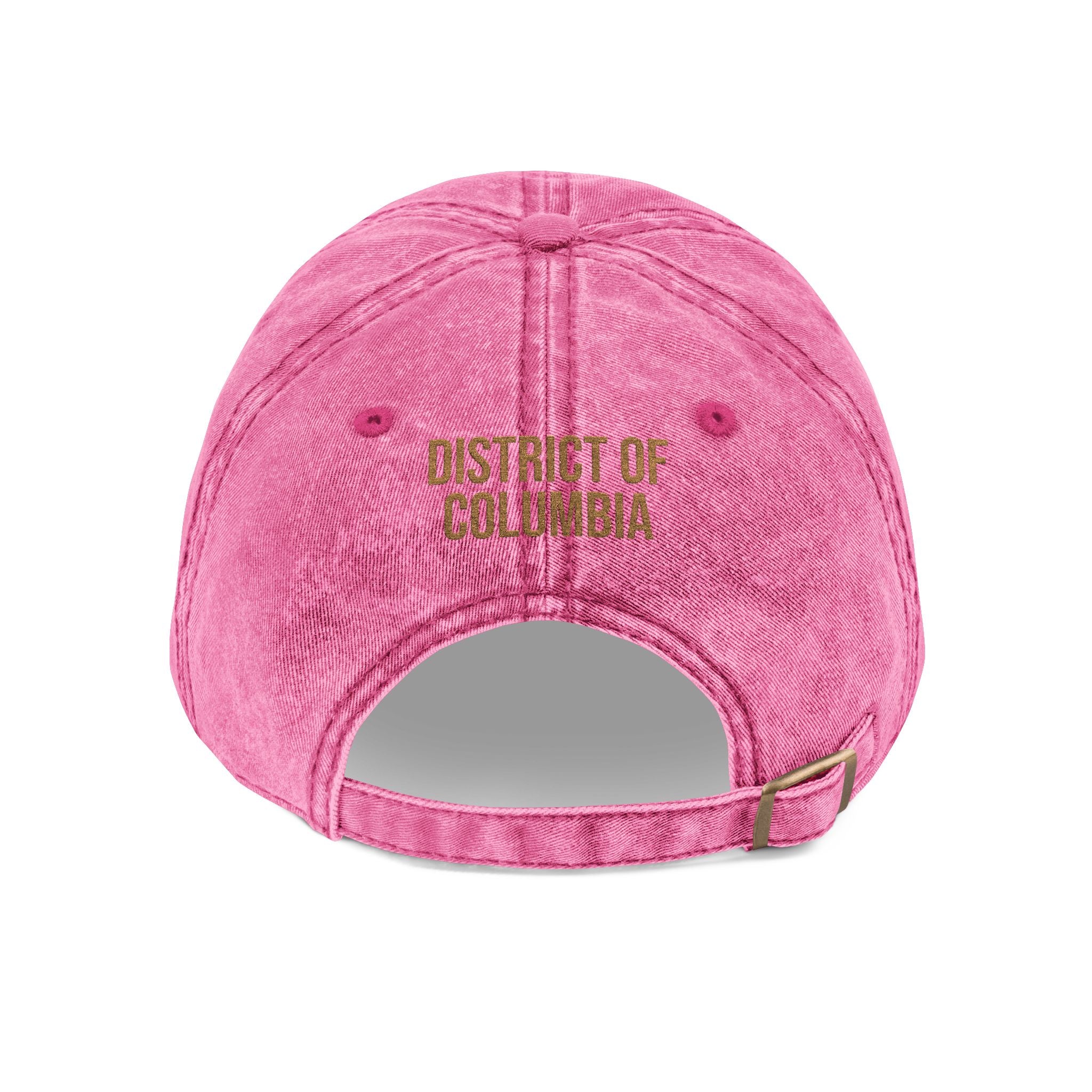 District of Columbia Wood Thrush State Bird  | Vintage Distressed Embroidered Baseball Cap