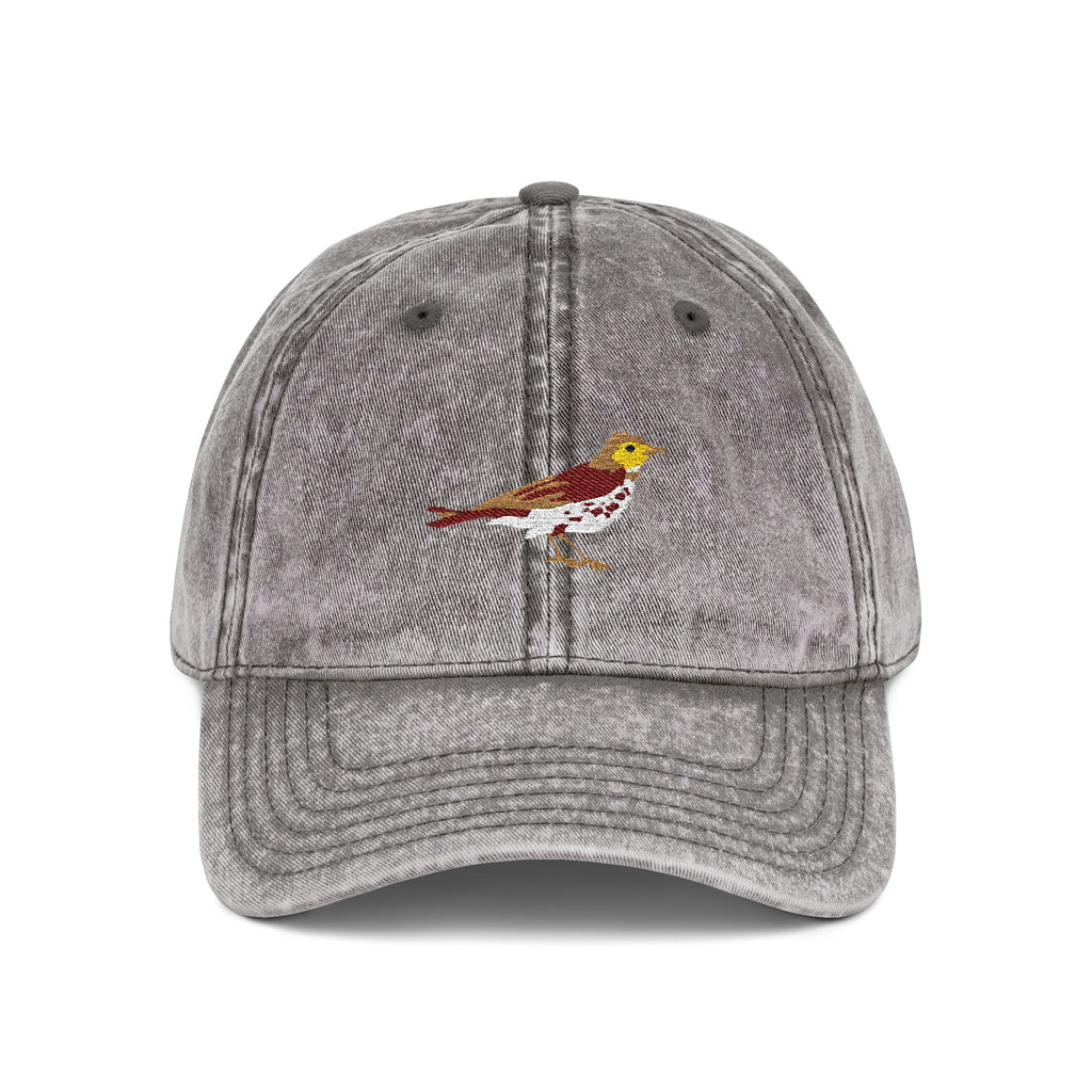 District of Columbia Wood Thrush State Bird  | Vintage Distressed Embroidered Baseball Cap