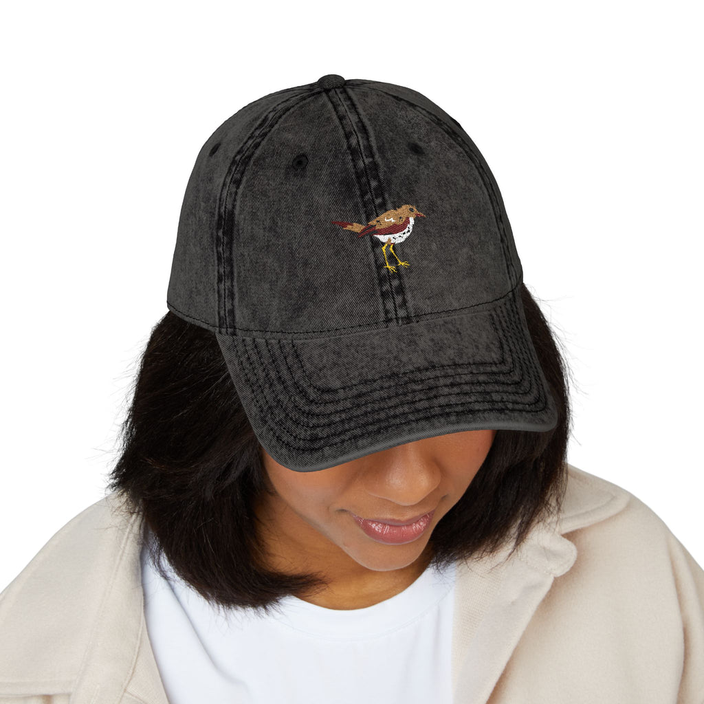 Vermont Hermit Thrush State Bird | Vintage Distressed Embroidered Baseball Cap