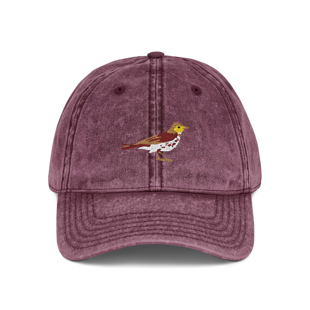 District of Columbia Wood Thrush State Bird  | Vintage Distressed Embroidered Baseball Cap