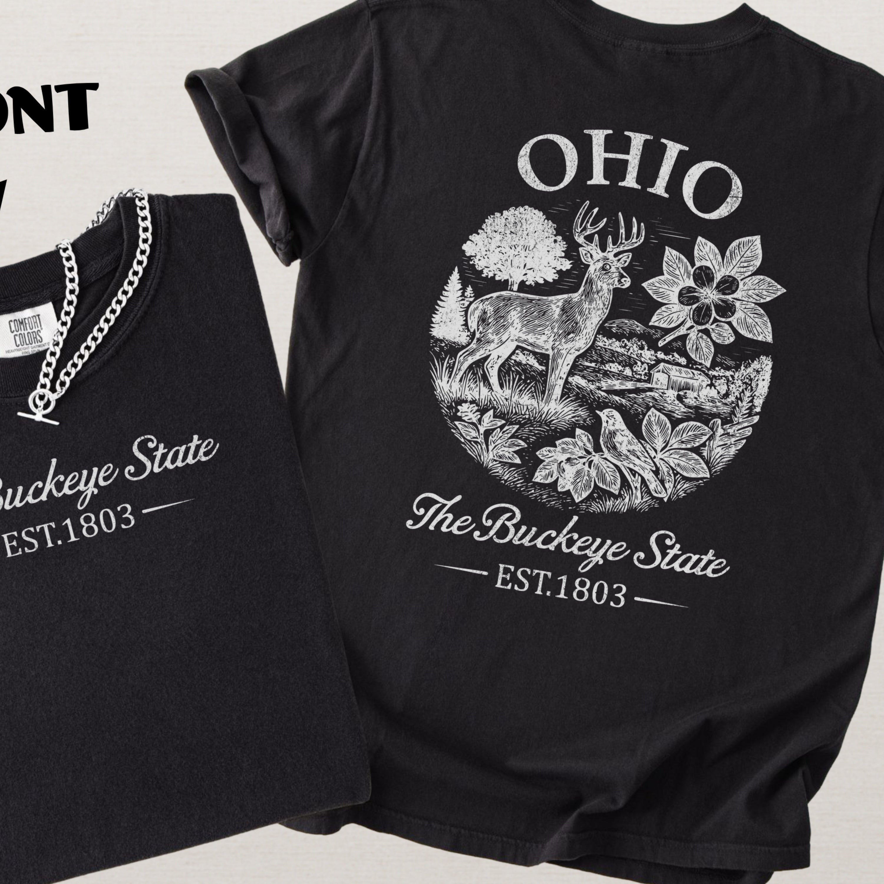 Ohio Vintage Midwest State Comfort Colors Souvenir T-Shirt