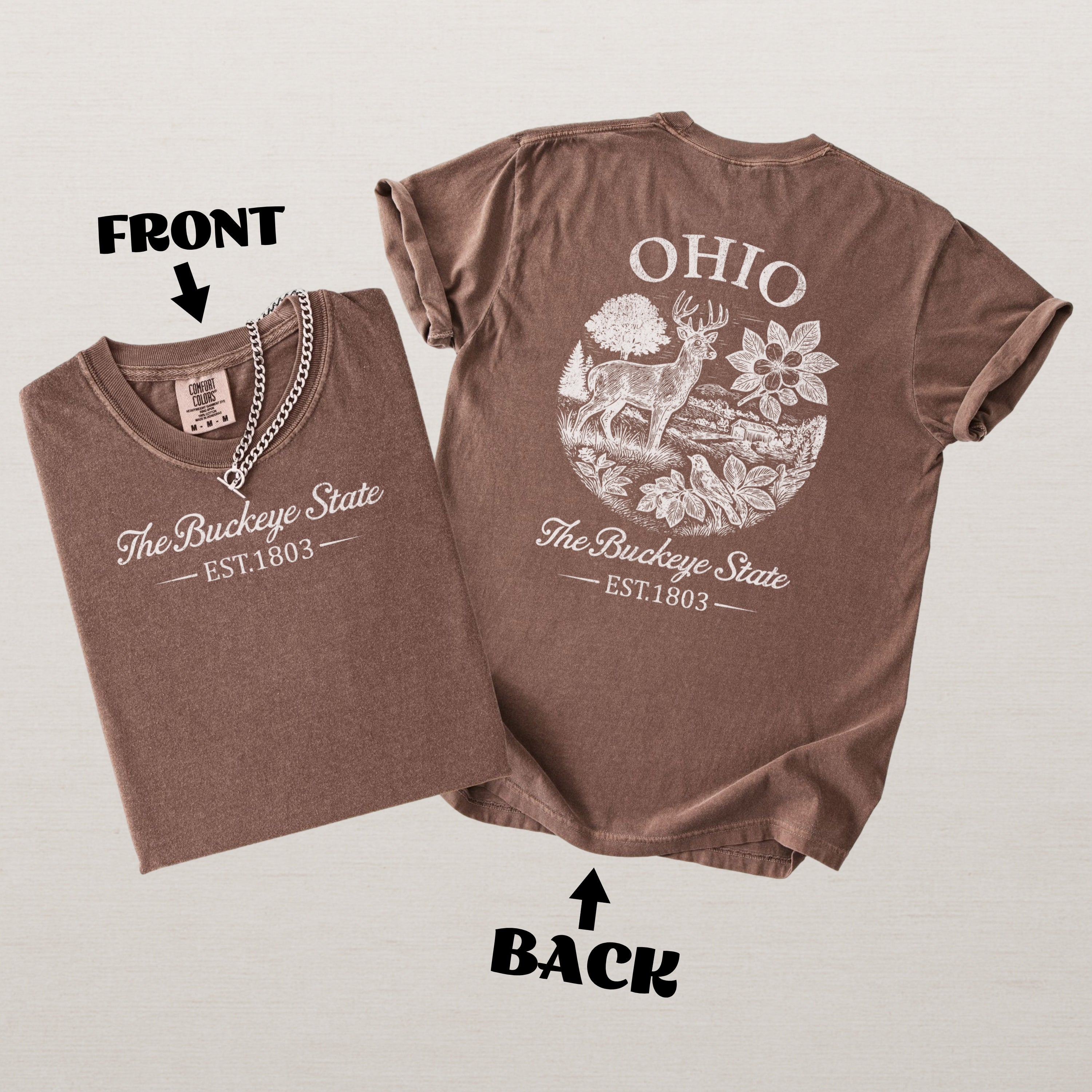 Ohio Vintage Midwest State Comfort Colors Souvenir T-Shirt