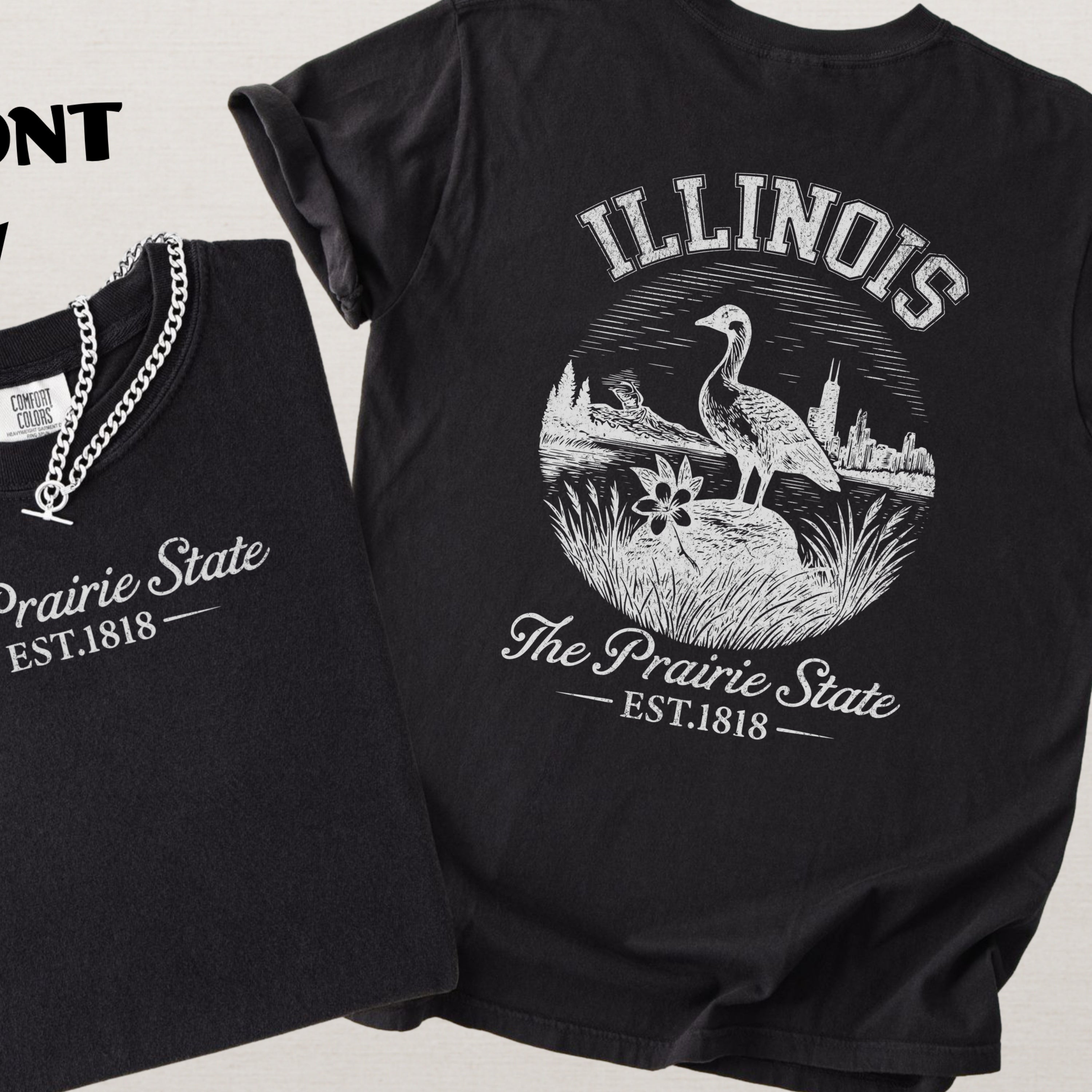 Illinois Retro Land of Lincoln Comfort Colors Souvenir T-Shirt