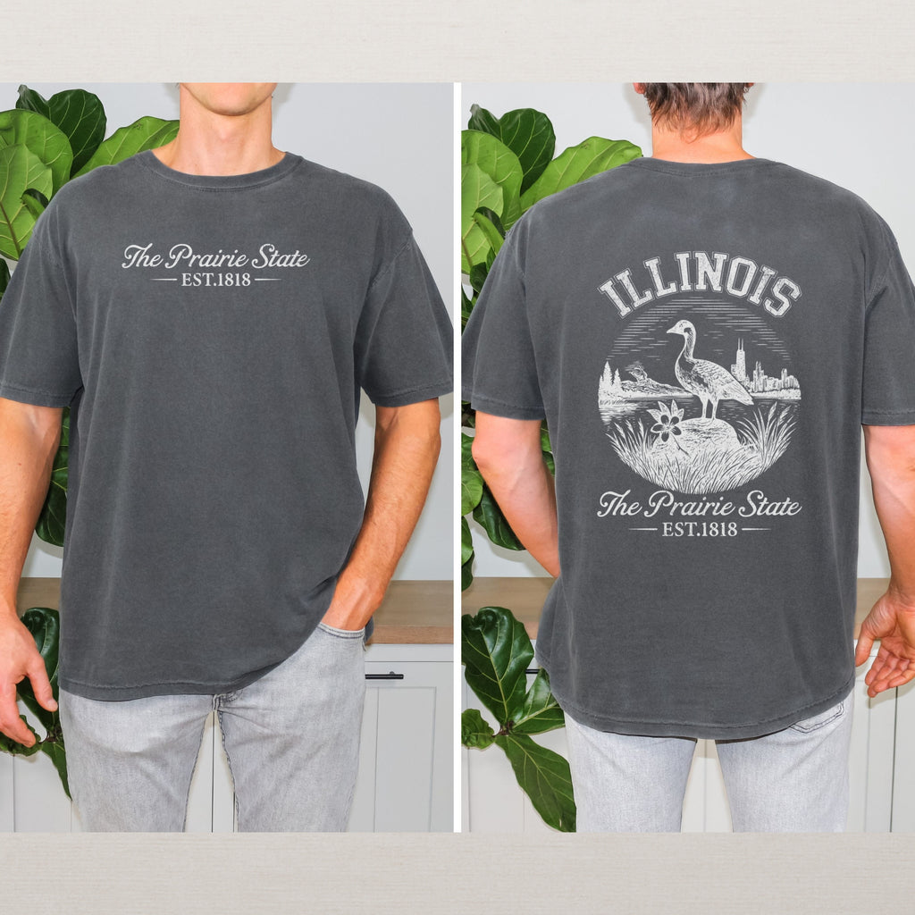 Illinois Retro Land of Lincoln Comfort Colors Souvenir T-Shirt