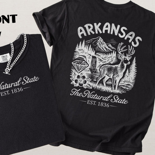 Arkansas Vintage Nature Scene Comfort Colors Souvenir T-Shirt