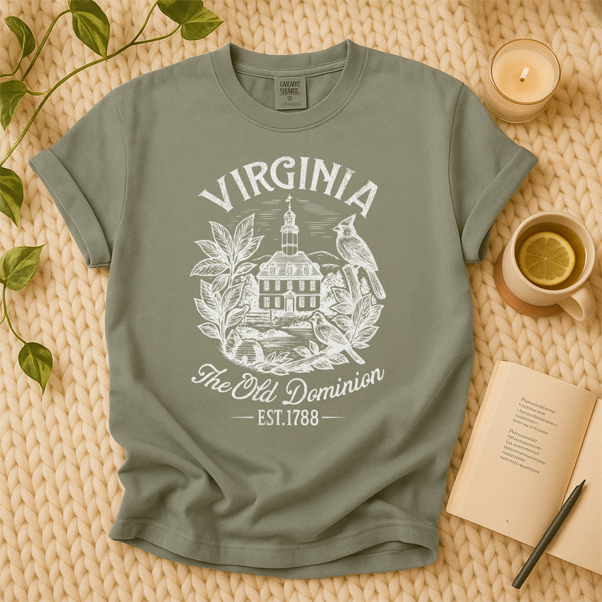 Virginia Vintage Old Dominion State Comfort Colors Souvenir T-Shirt