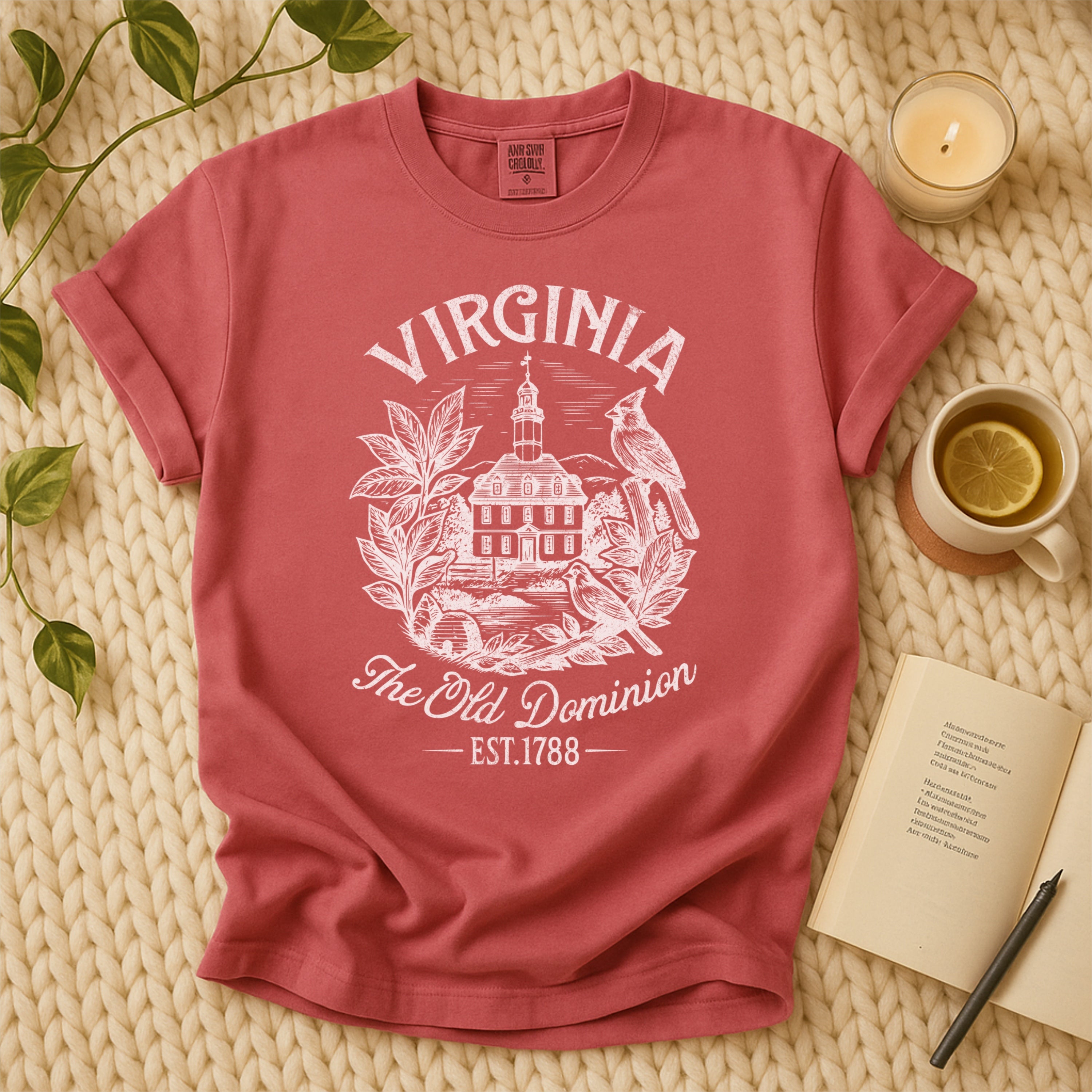 Virginia Vintage Old Dominion State Comfort Colors Souvenir T-Shirt