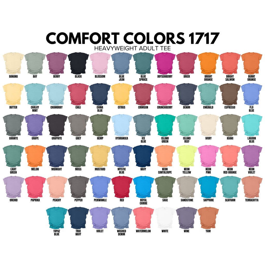 Charlotte NC Skyline with Retro Swoosh Comfort Colors Souvenir T-Shirt