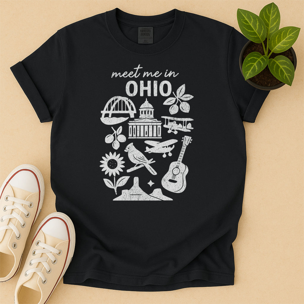 Meet Me In Ohio Distressed Vintage Landmark State Shirt