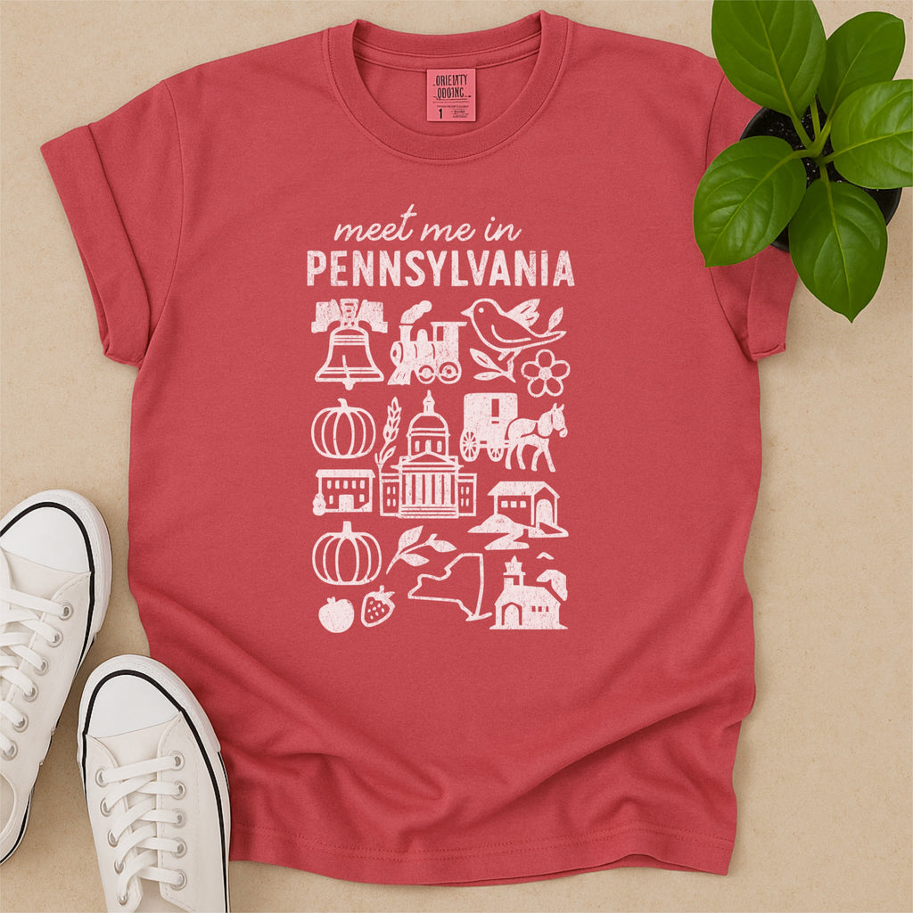Meet Me In Pennsylvania Distressed Vintage Landmark State Shirt