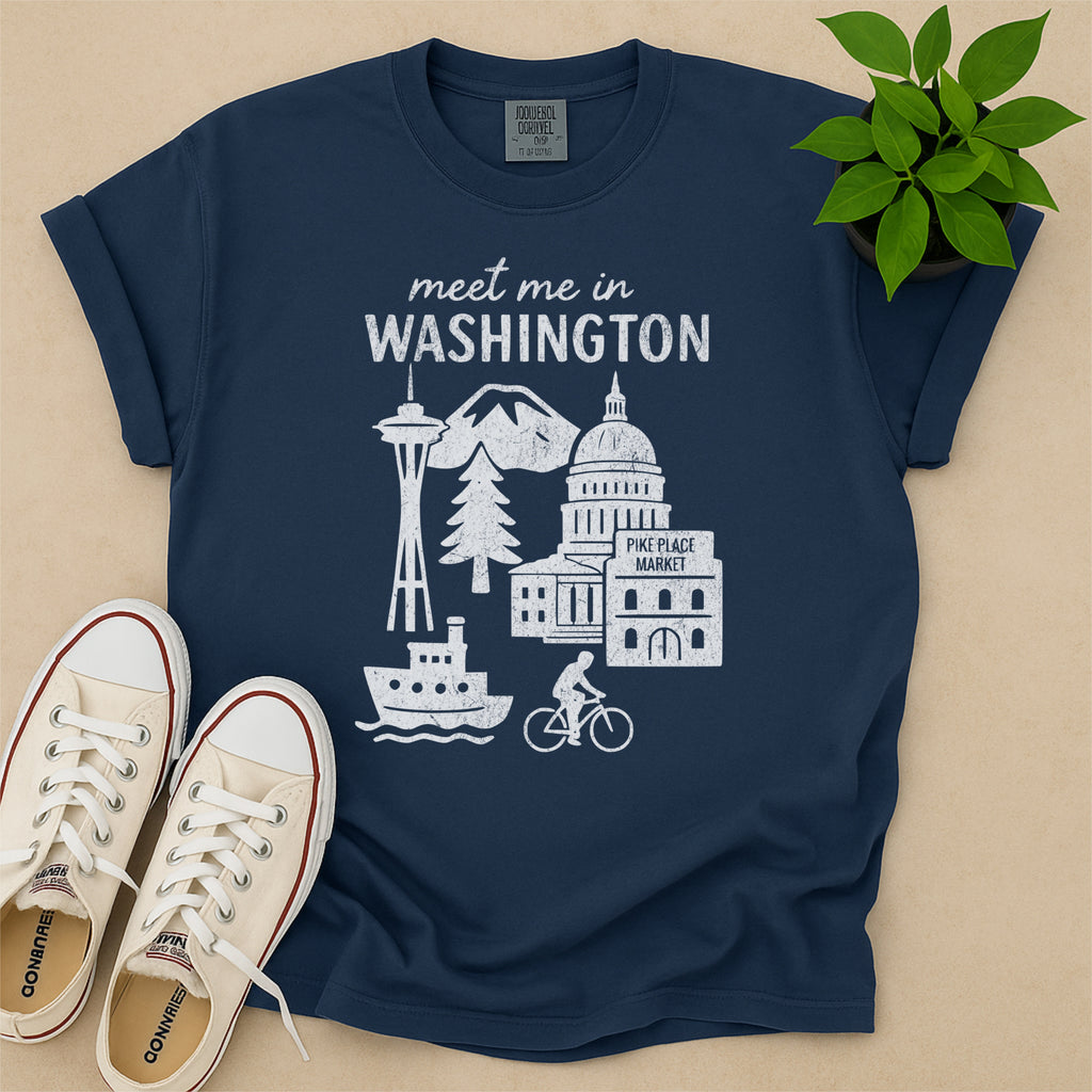 Meet Me In Washington Distressed Vintage Landmark State Shirt