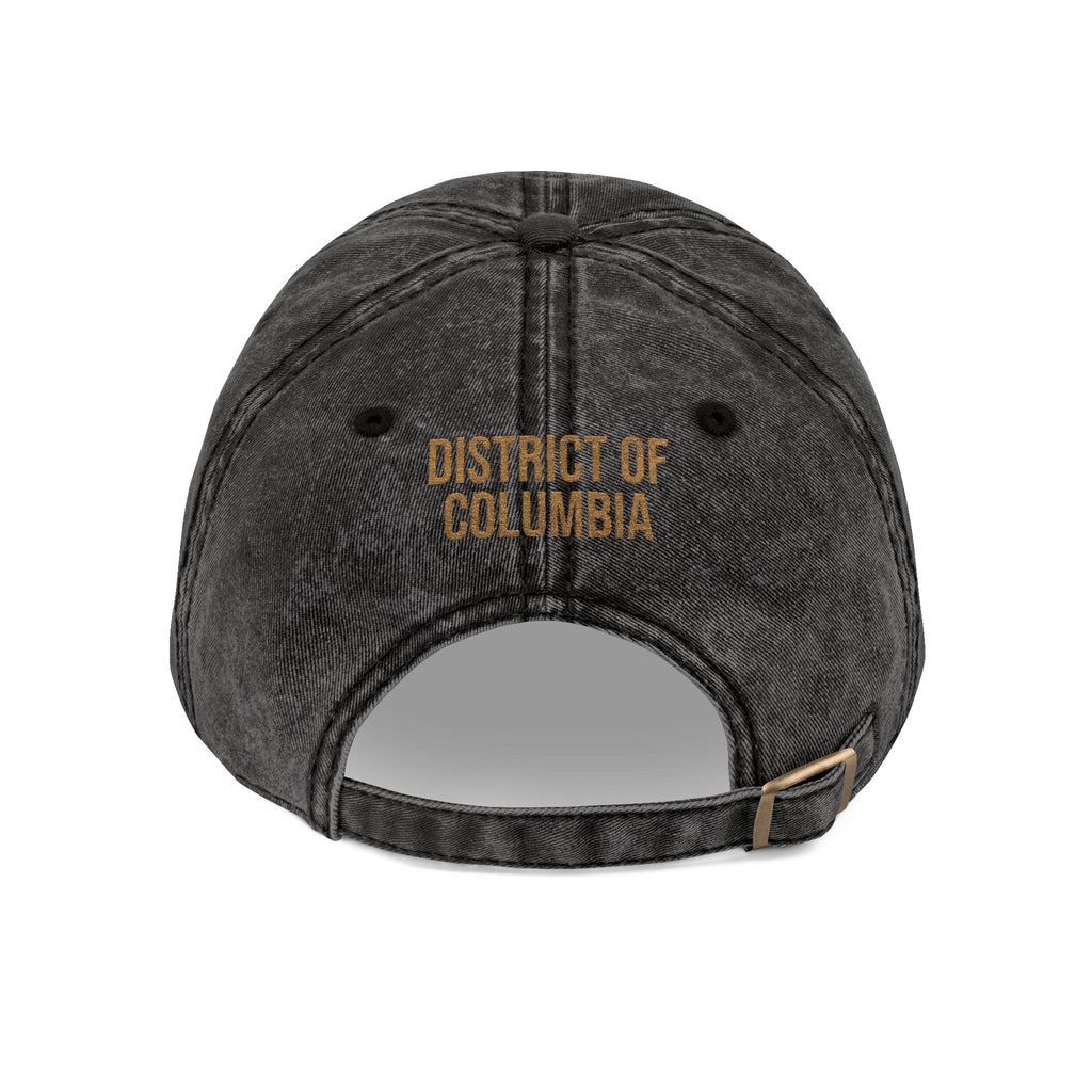 District of Columbia Wood Thrush State Bird  | Vintage Distressed Embroidered Baseball Cap