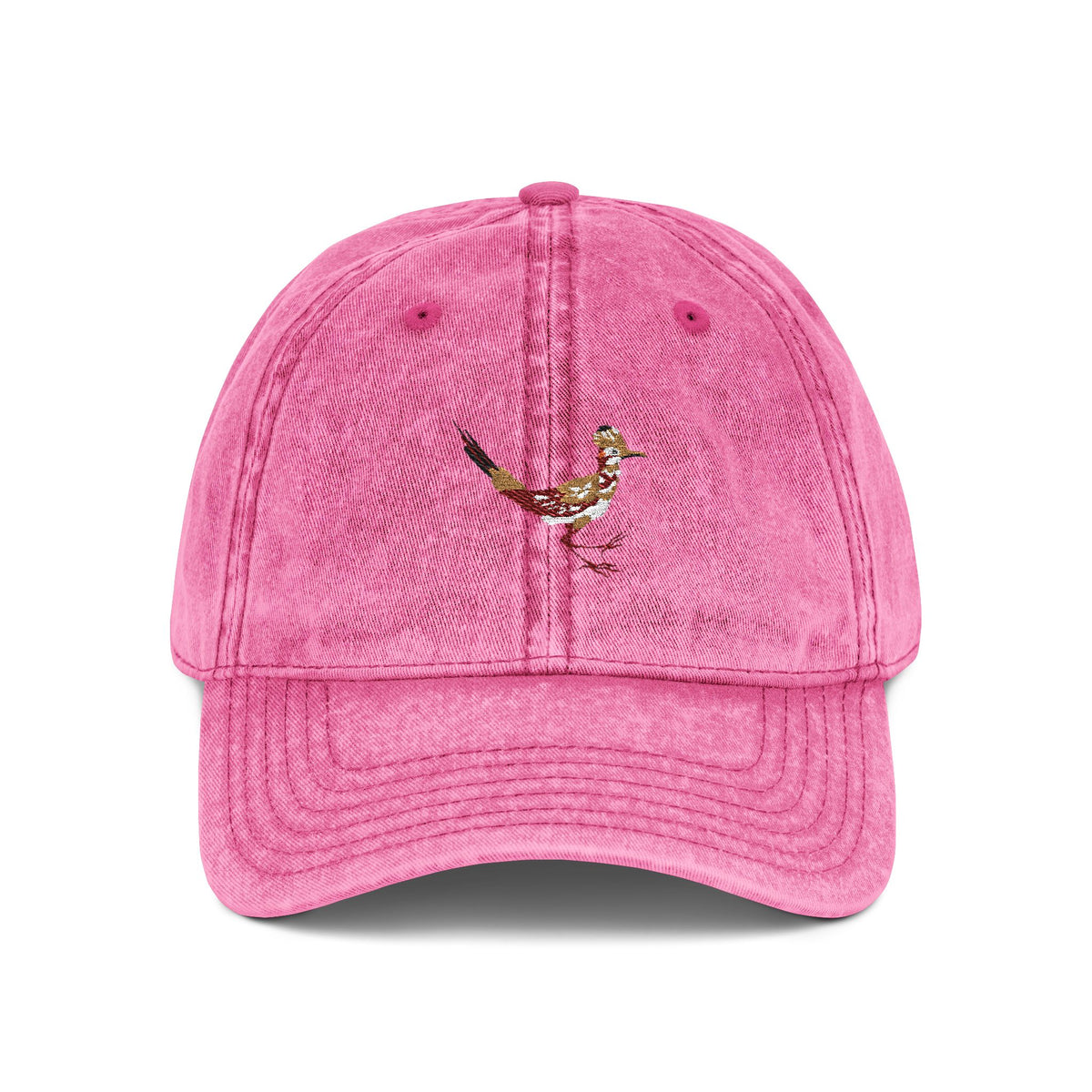 New Mexico Roadrunner State Bird | Vintage Distressed Embroidered Baseball Cap