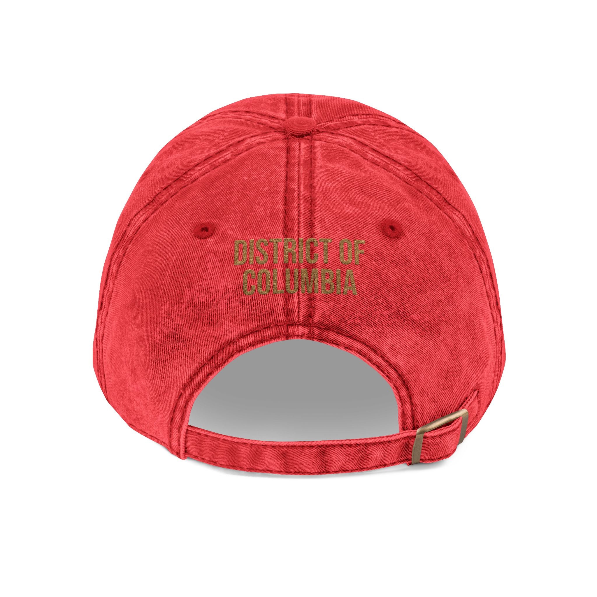 District of Columbia Wood Thrush State Bird  | Vintage Distressed Embroidered Baseball Cap
