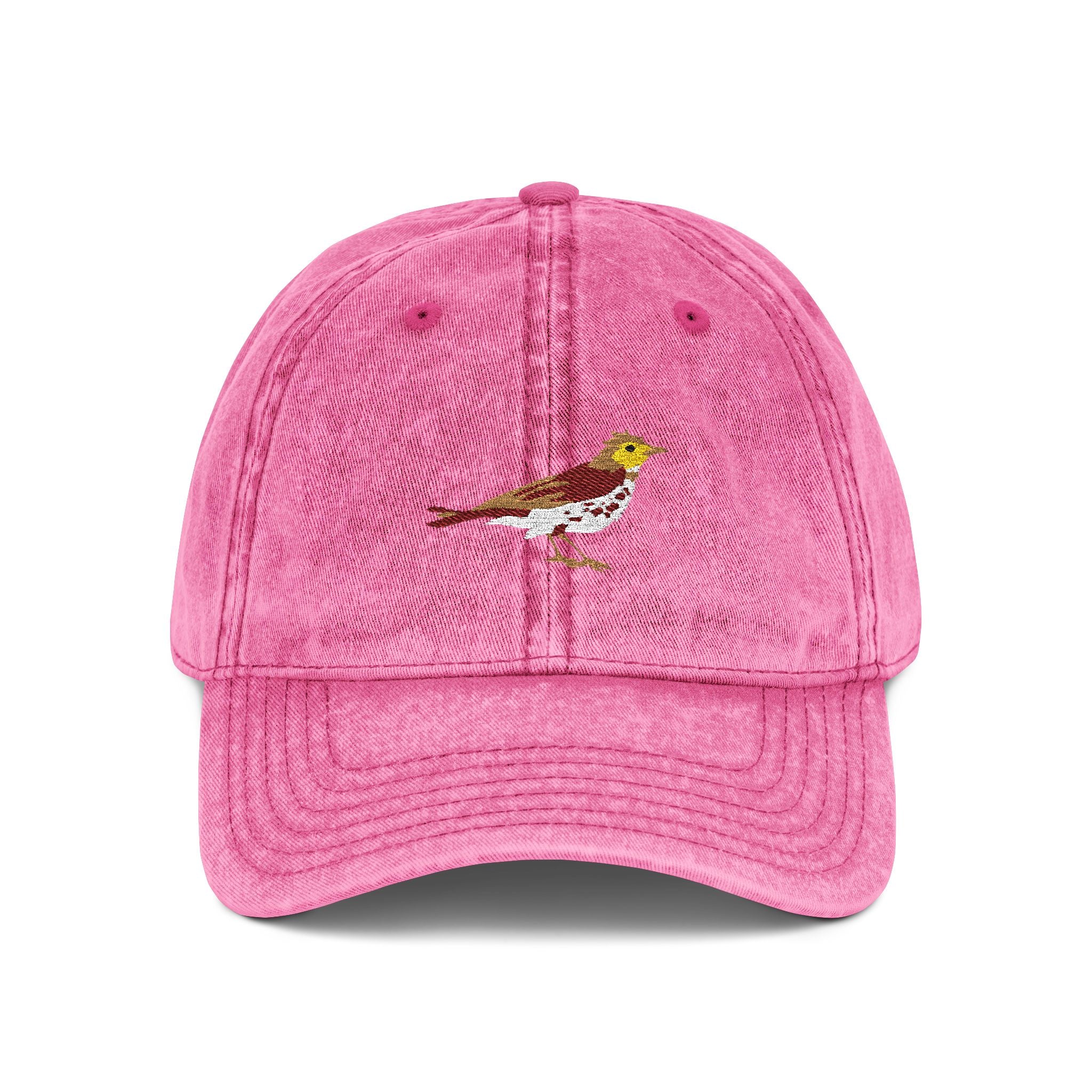 District of Columbia Wood Thrush State Bird  | Vintage Distressed Embroidered Baseball Cap