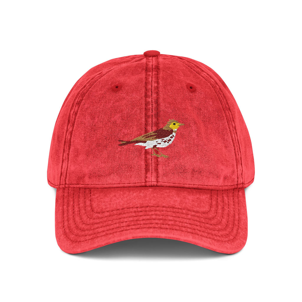 District of Columbia Wood Thrush State Bird  | Vintage Distressed Embroidered Baseball Cap