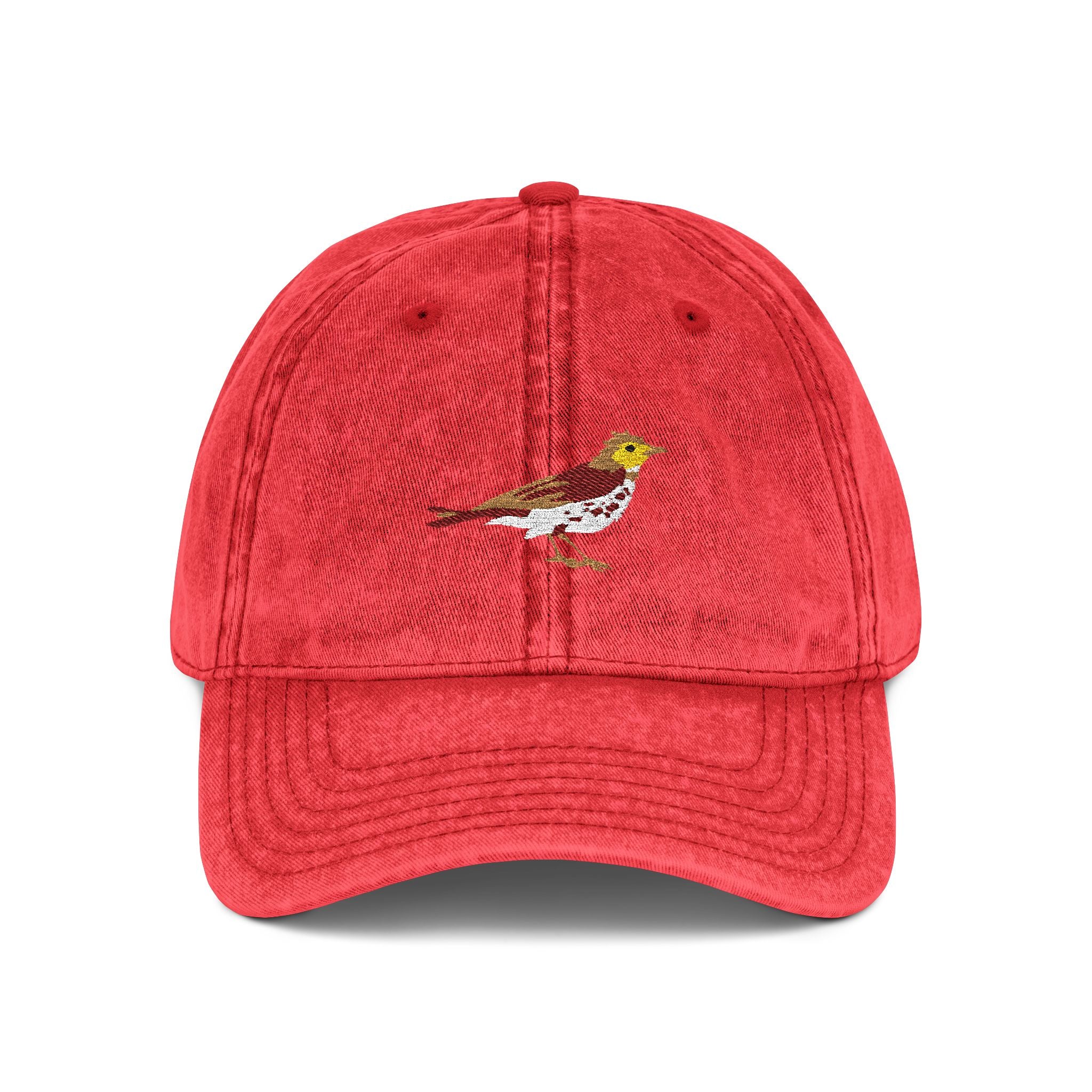 District of Columbia Wood Thrush State Bird  | Vintage Distressed Embroidered Baseball Cap