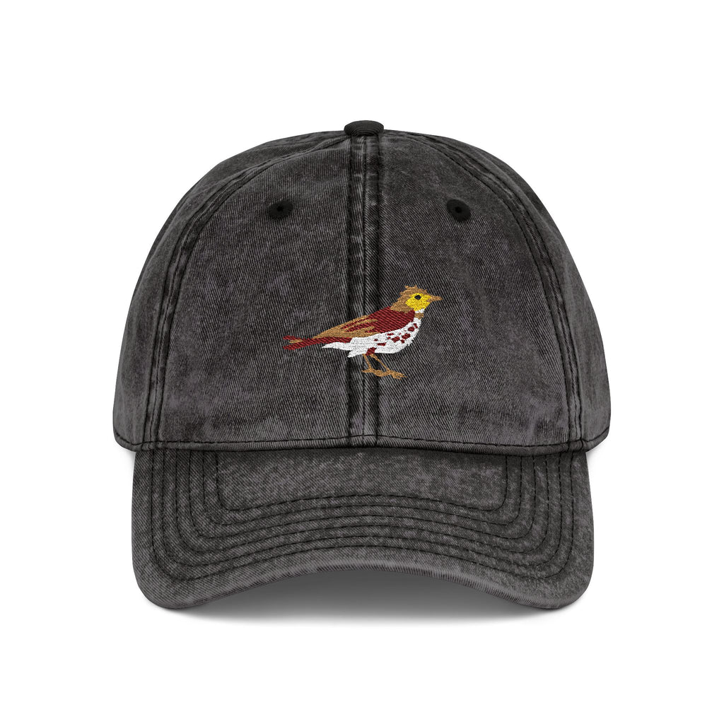 District of Columbia Wood Thrush State Bird  | Vintage Distressed Embroidered Baseball Cap