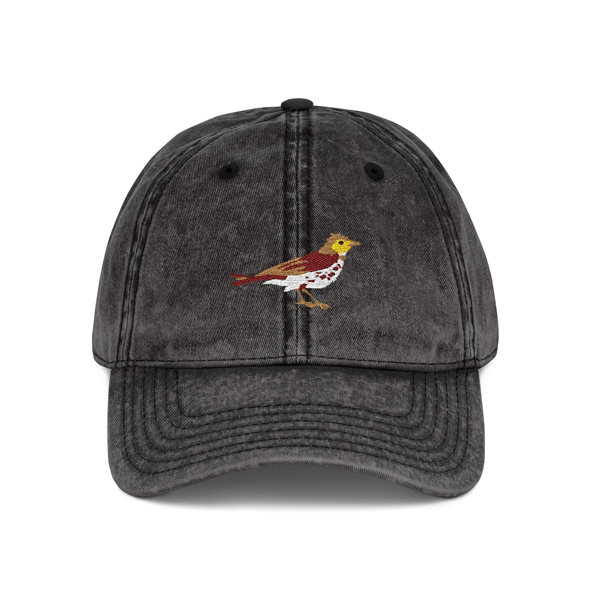District of Columbia Wood Thrush State Bird  | Vintage Distressed Embroidered Baseball Cap