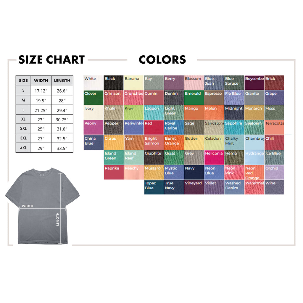 Alaska Varsity Echo State Shirt | Comfort Colors Black Text