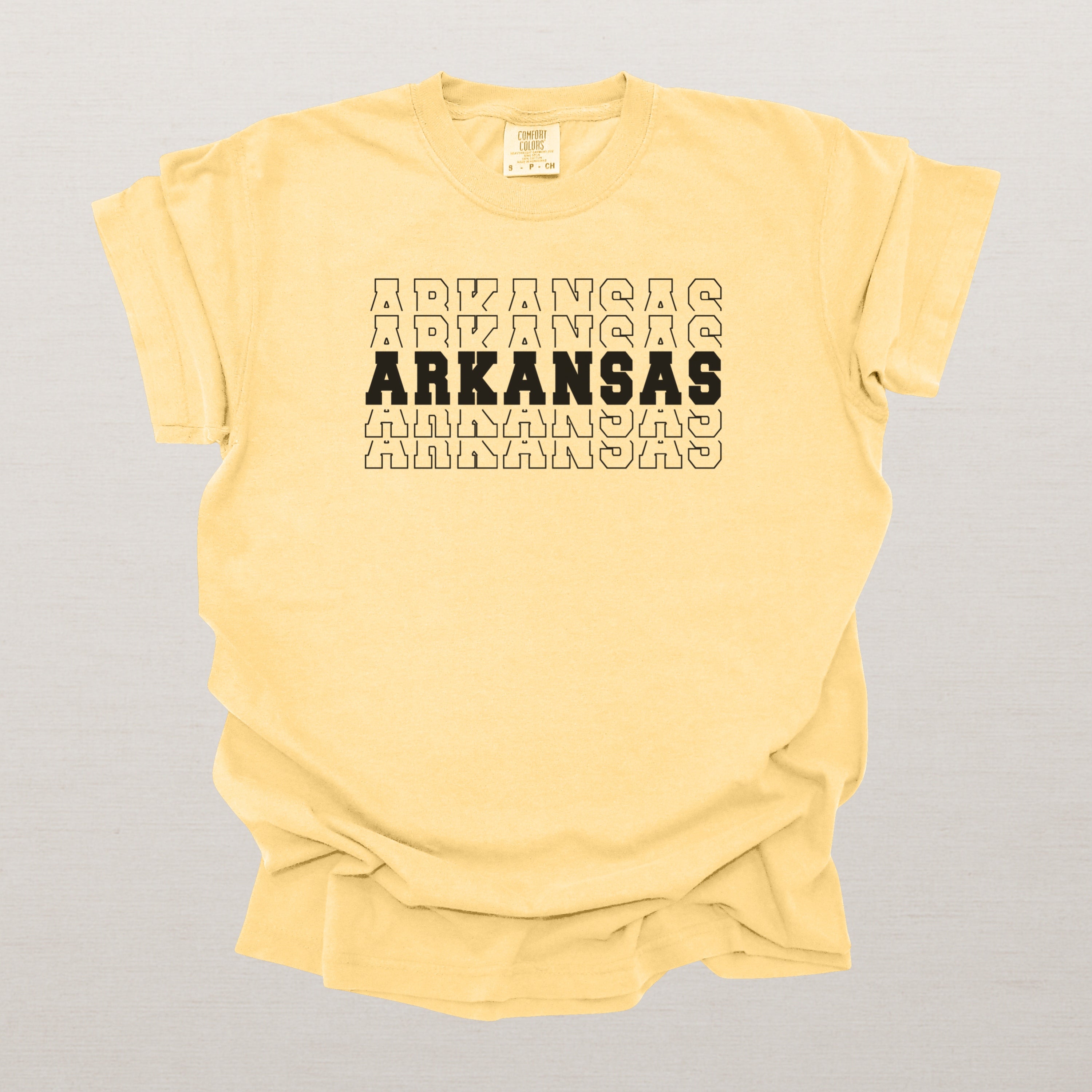 Arkansas Varsity Echo State Shirt | Comfort Colors Black Text