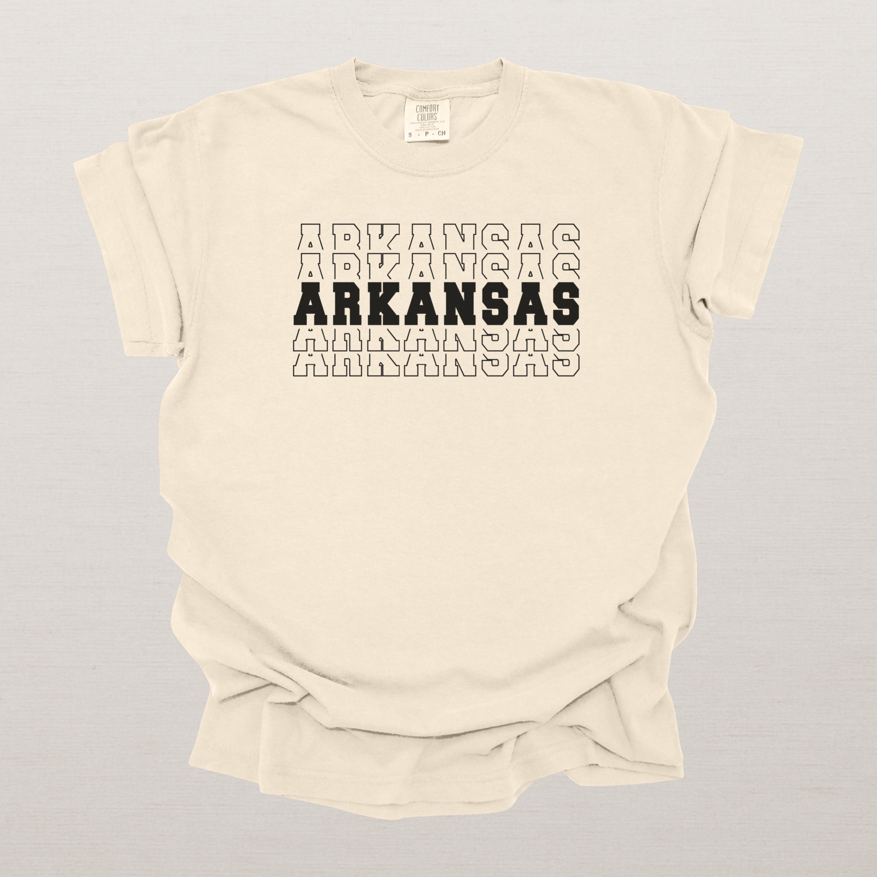 Arkansas Varsity Echo State Shirt | Comfort Colors Black Text