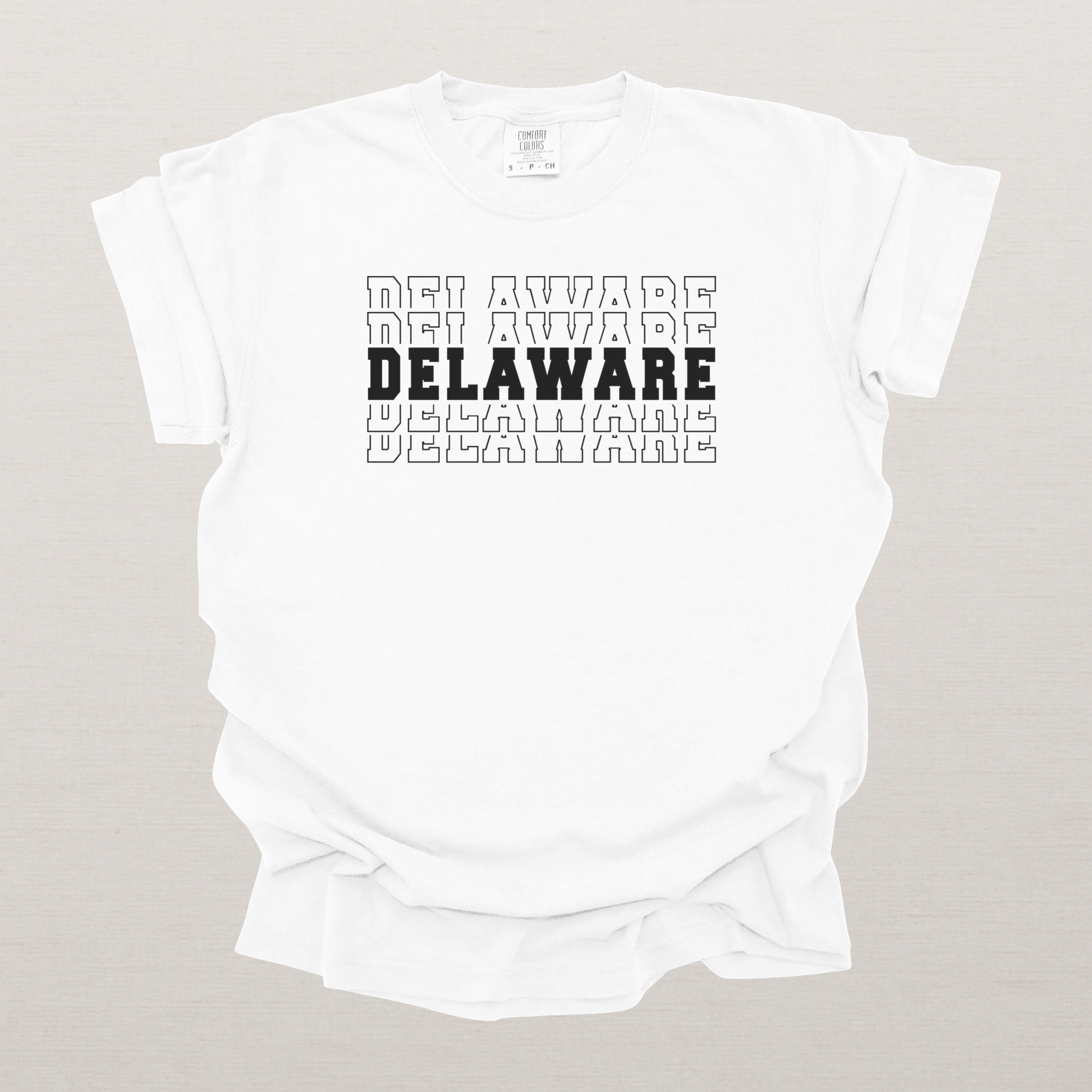 Delaware Varsity Echo State Shirt | Comfort Colors Black Text