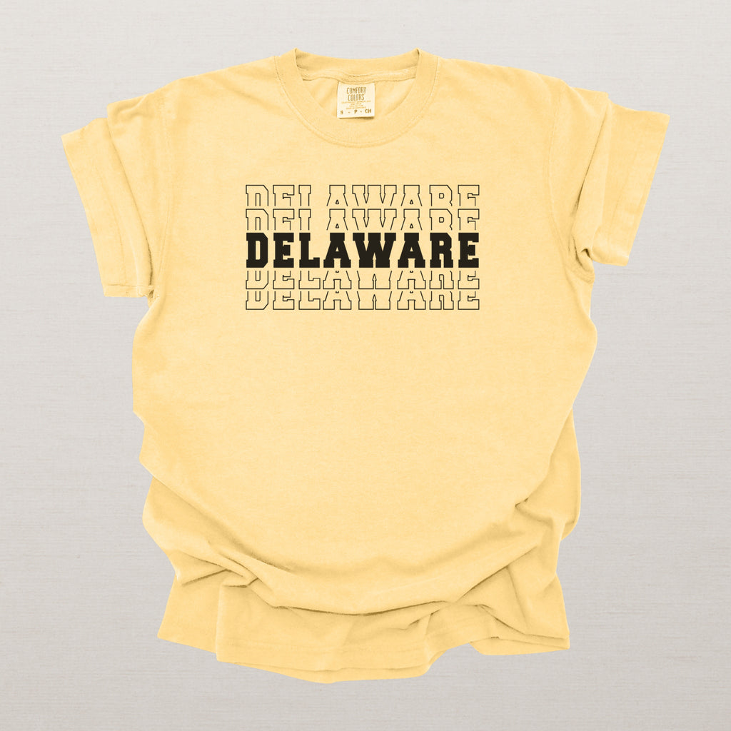Delaware Varsity Echo State Shirt | Comfort Colors Black Text
