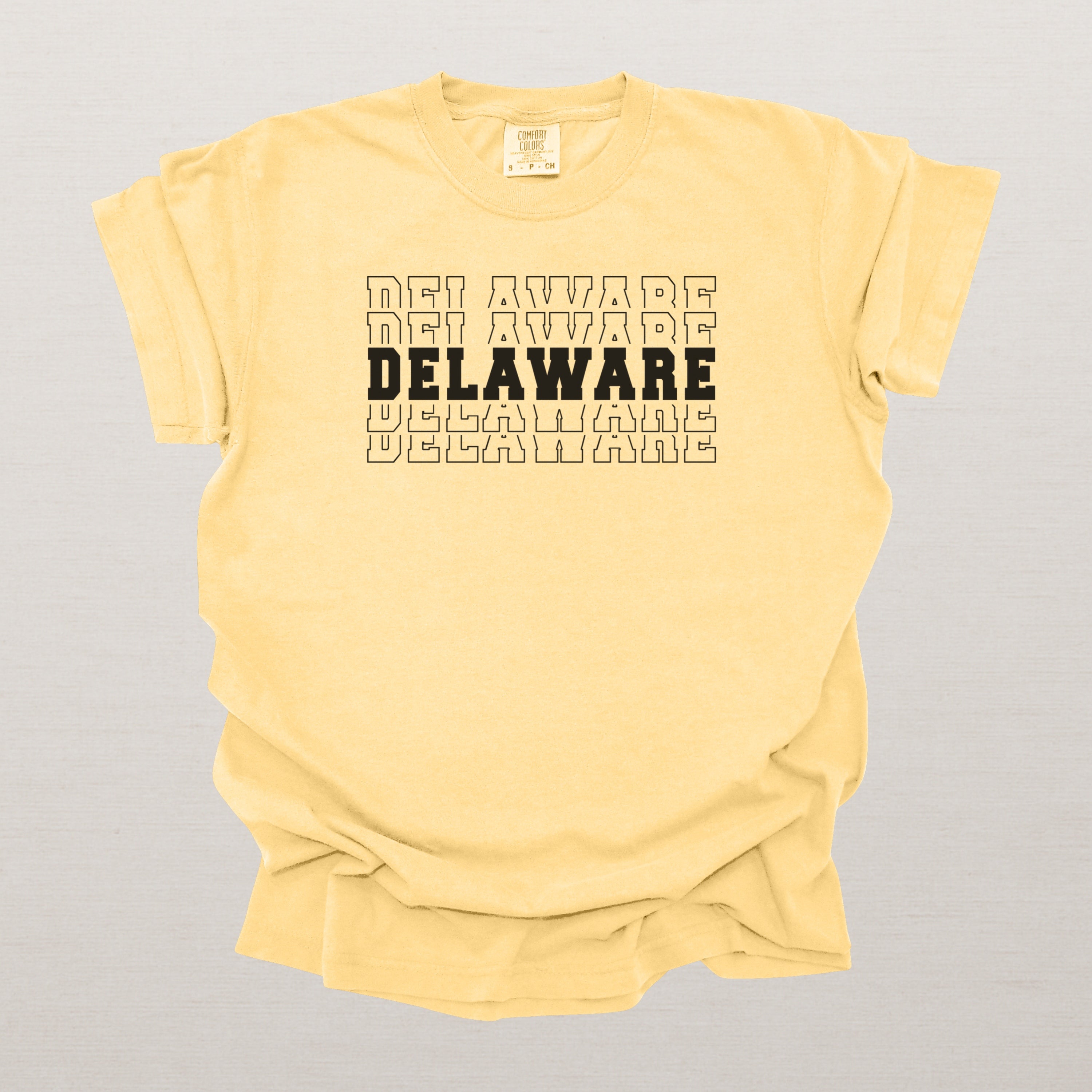 Delaware Varsity Echo State Shirt | Comfort Colors Black Text