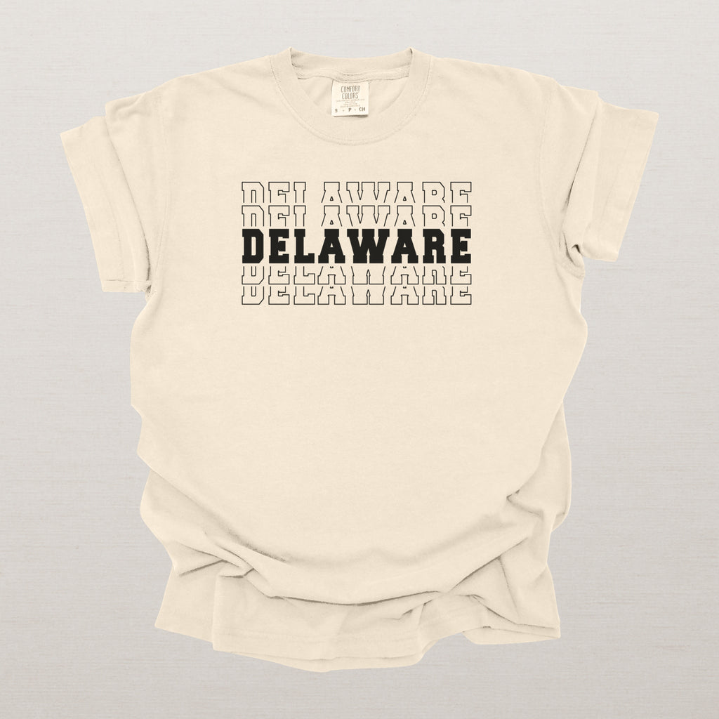 Delaware Varsity Echo State Shirt | Comfort Colors Black Text