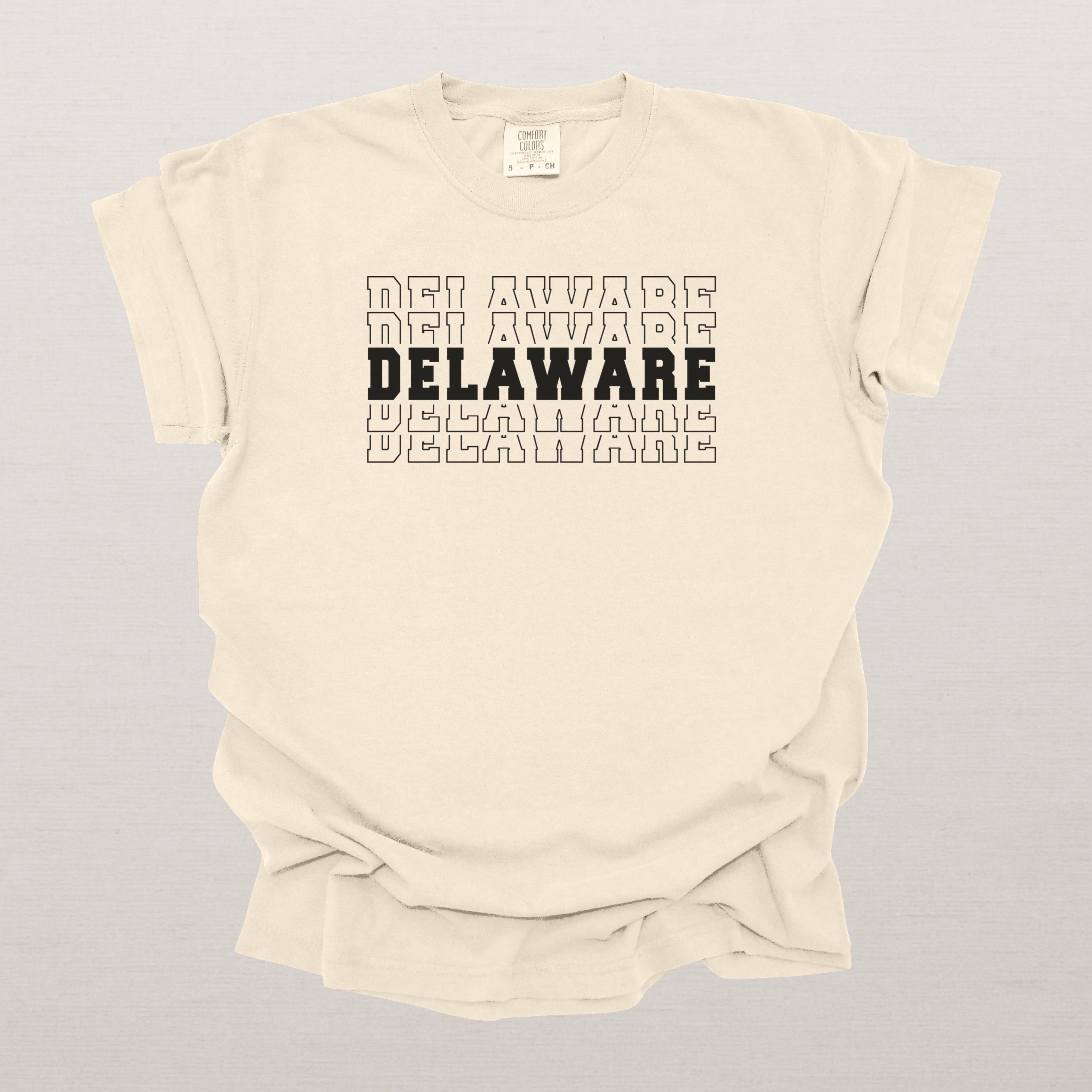 Delaware Varsity Echo State Shirt | Comfort Colors Black Text
