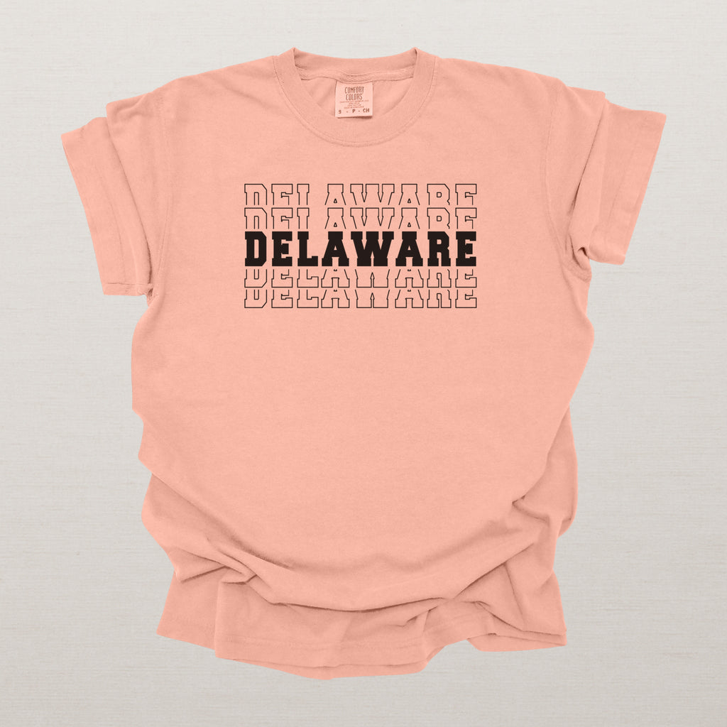 Delaware Varsity Echo State Shirt | Comfort Colors Black Text