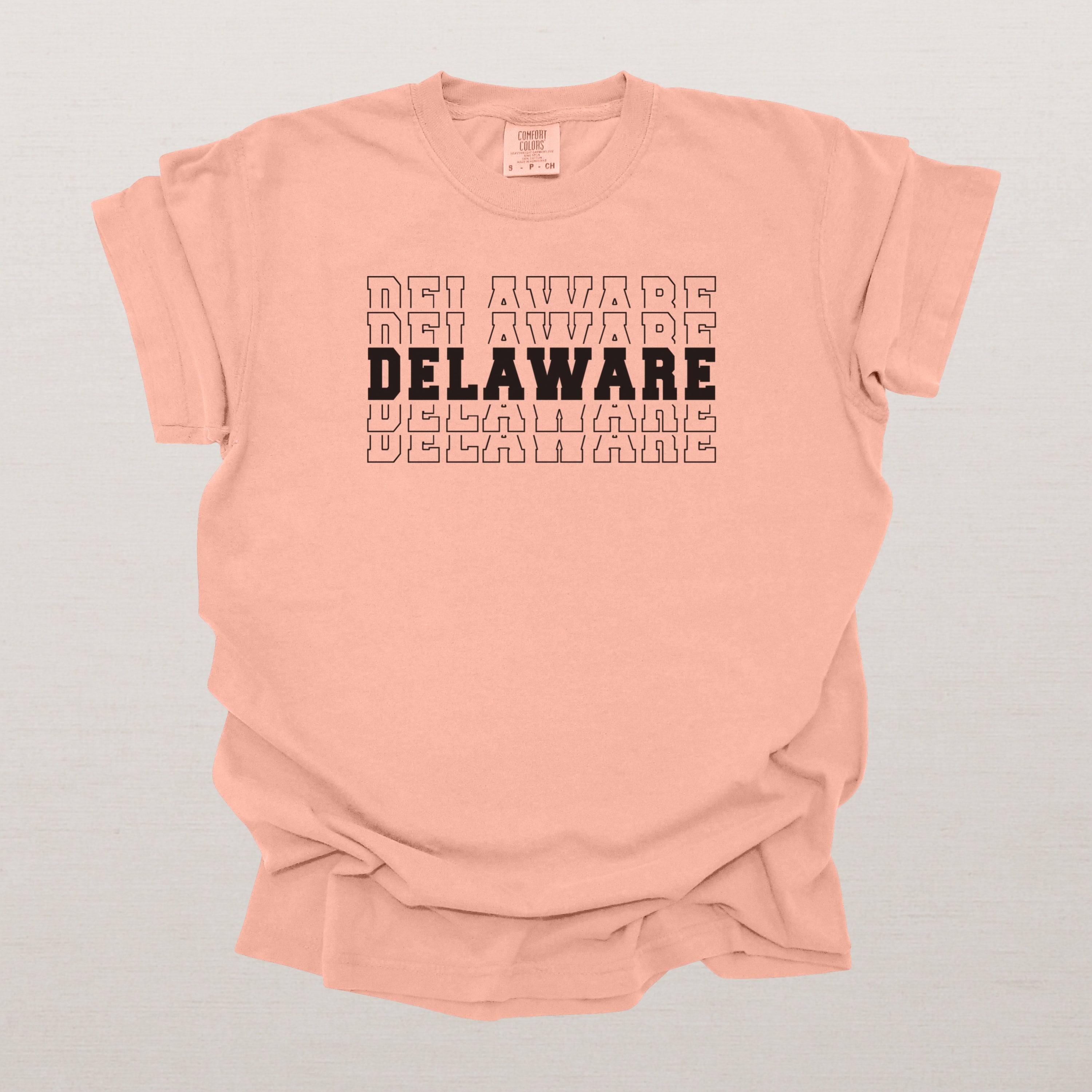 Delaware Varsity Echo State Shirt | Comfort Colors Black Text