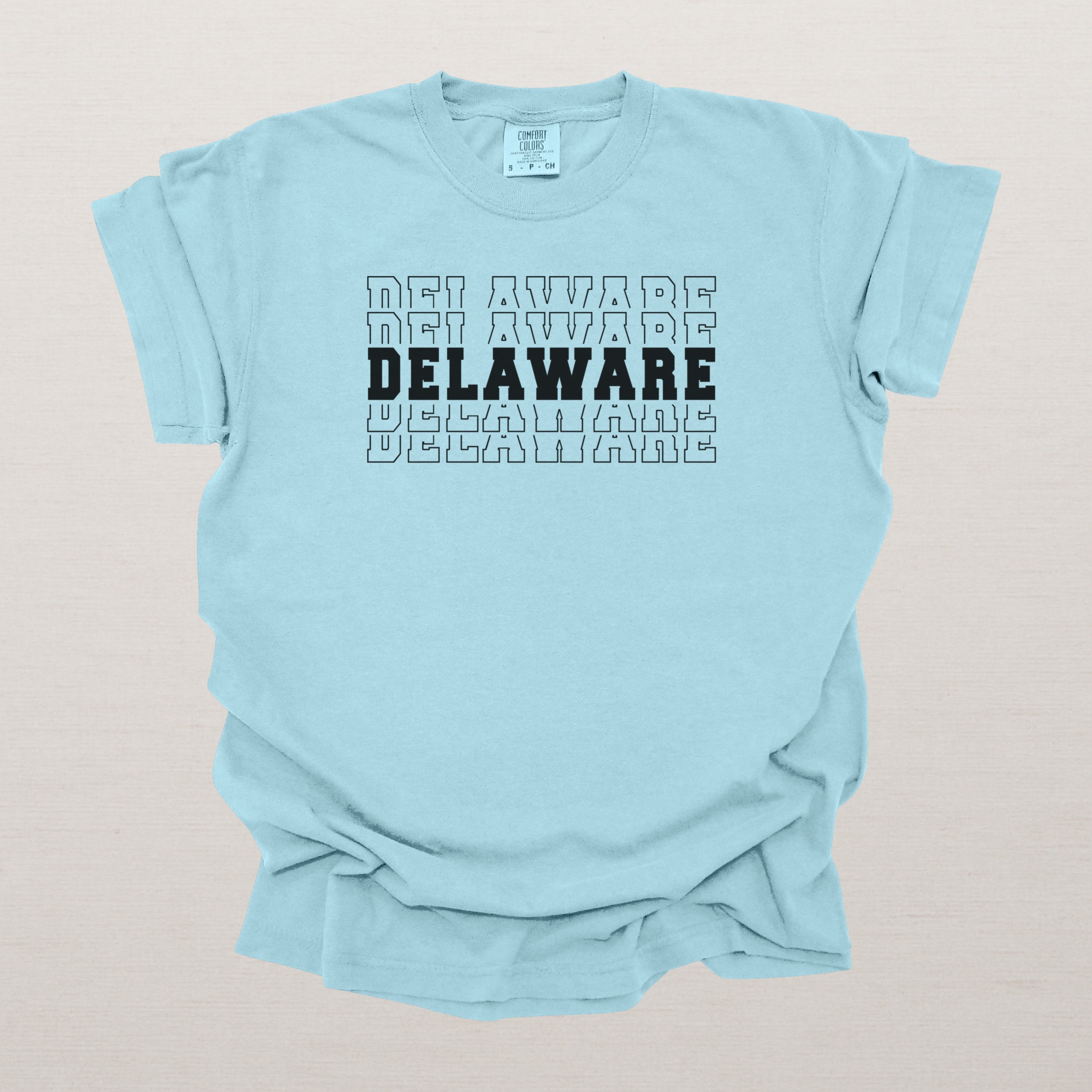 Delaware Varsity Echo State Shirt | Comfort Colors Black Text