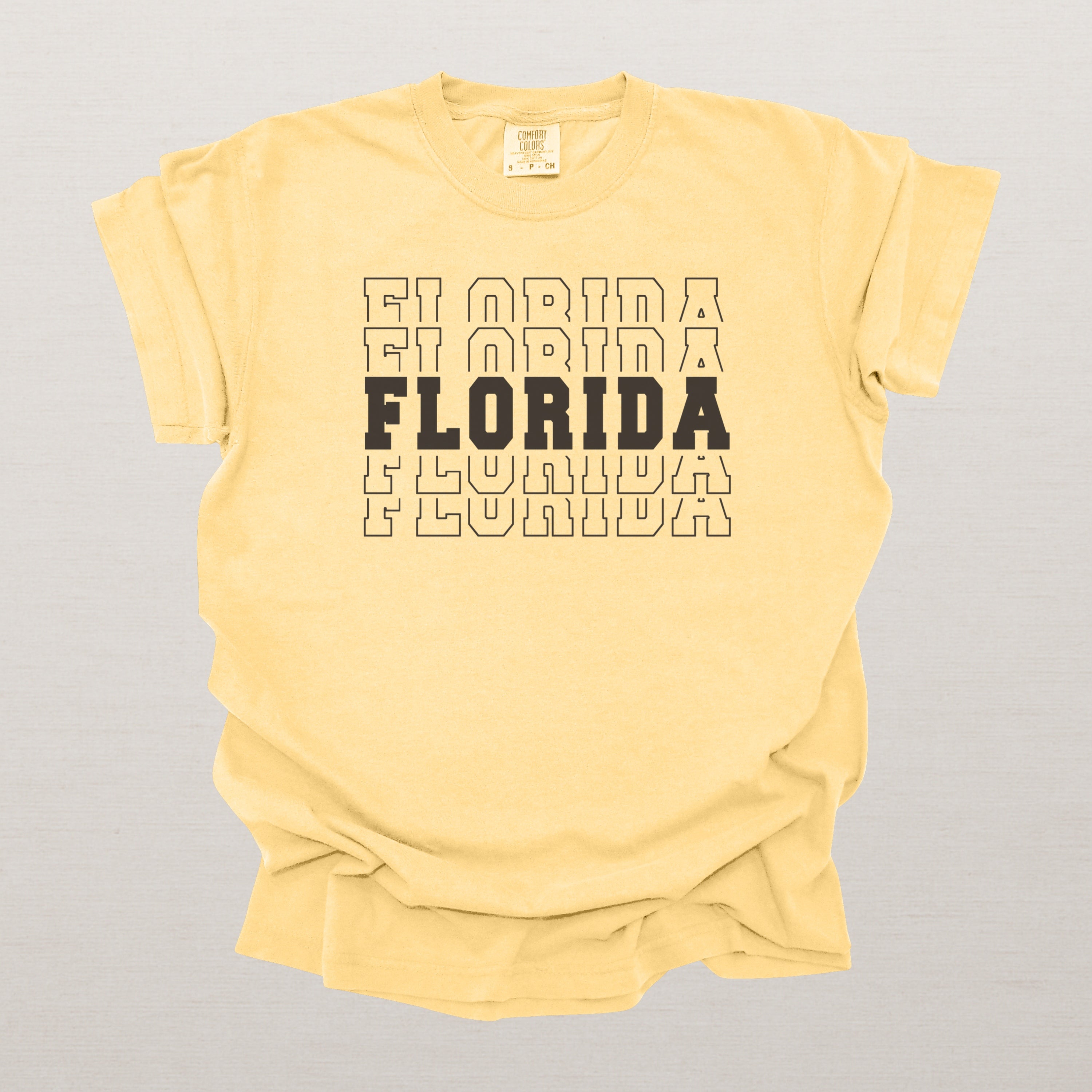 Florida Varsity Echo State Shirt | Comfort Colors Black Text