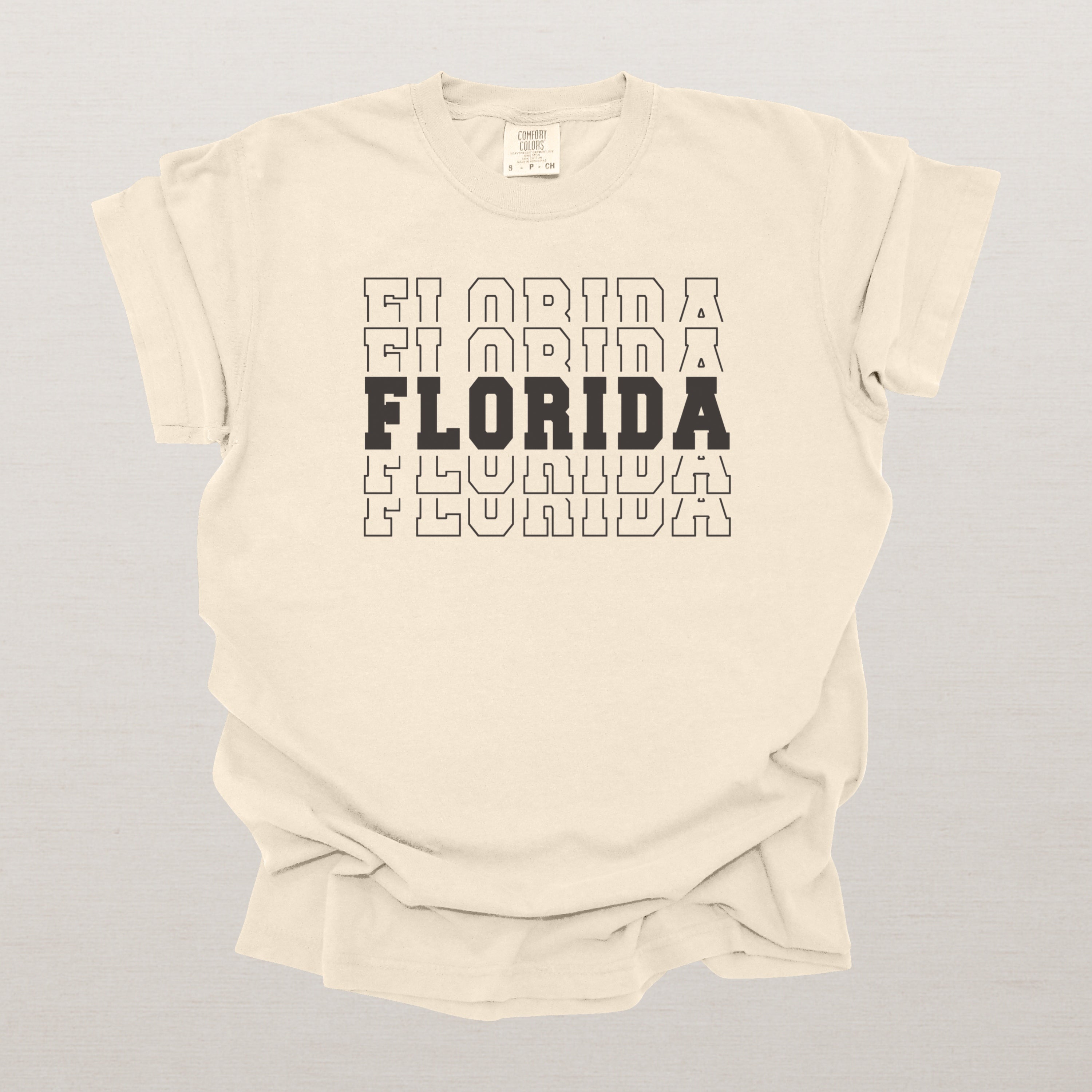 Florida Varsity Echo State Shirt | Comfort Colors Black Text