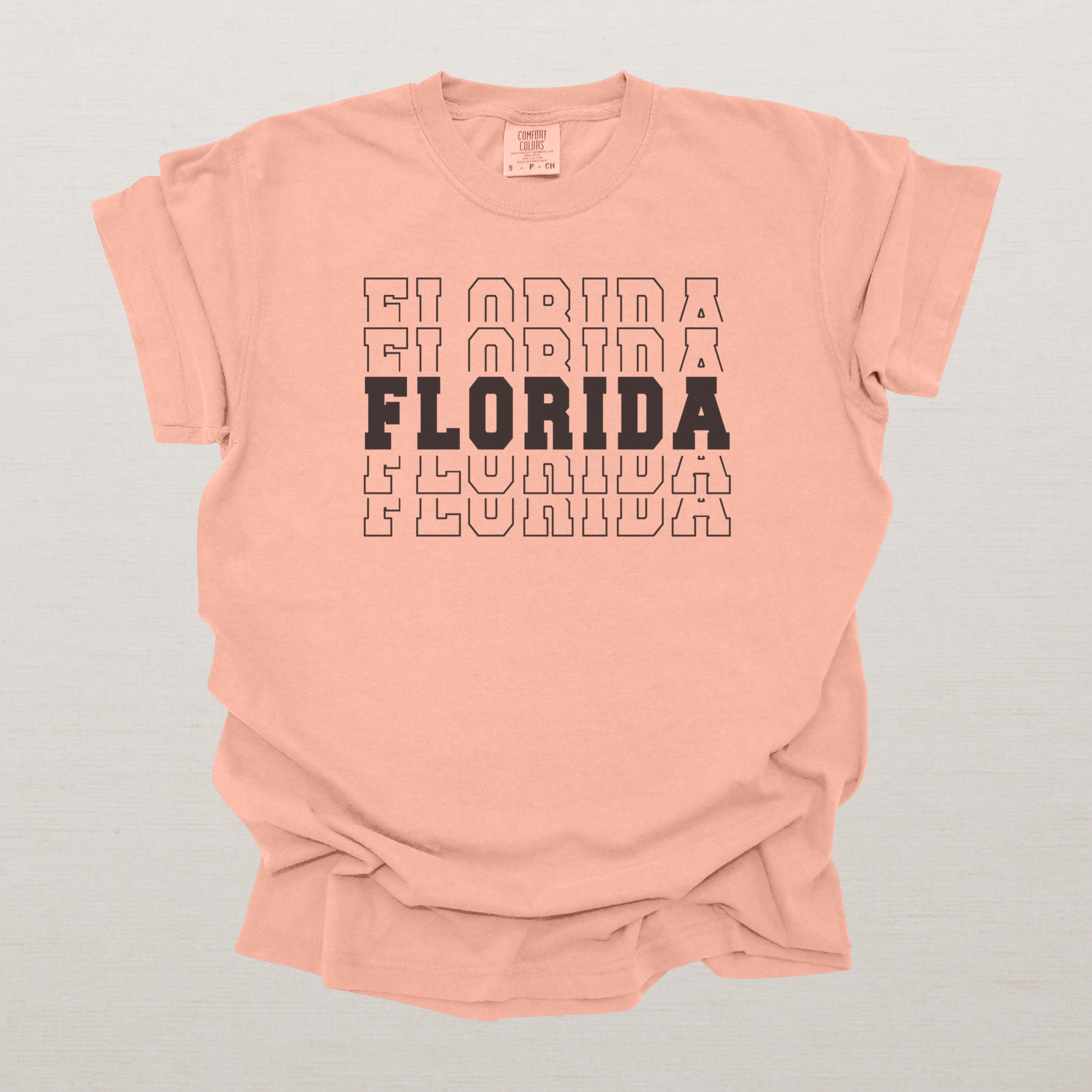 Florida Varsity Echo State Shirt | Comfort Colors Black Text