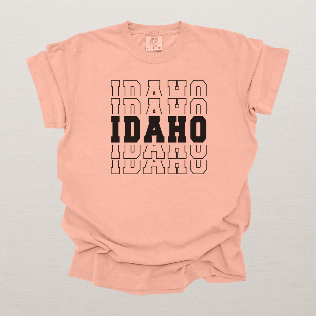 Idaho Varsity Echo State Shirt | Comfort Colors Black Text