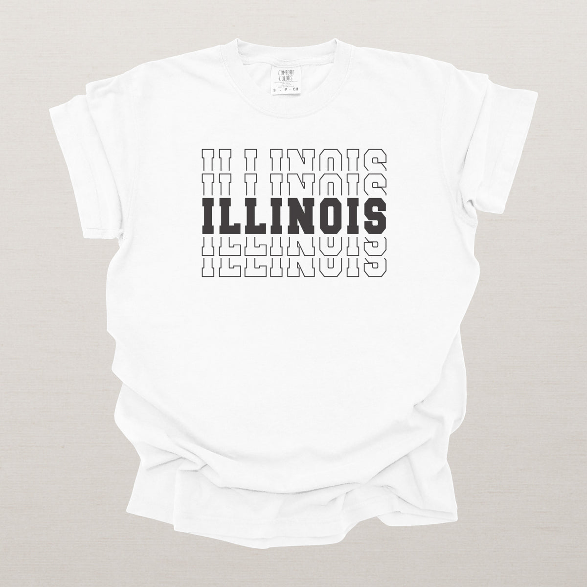 Illinois Varsity Echo State Shirt | Comfort Colors Black Text