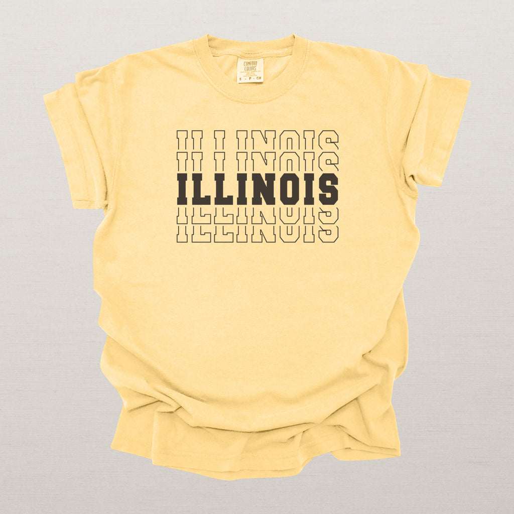 Illinois Varsity Echo State Shirt | Comfort Colors Black Text