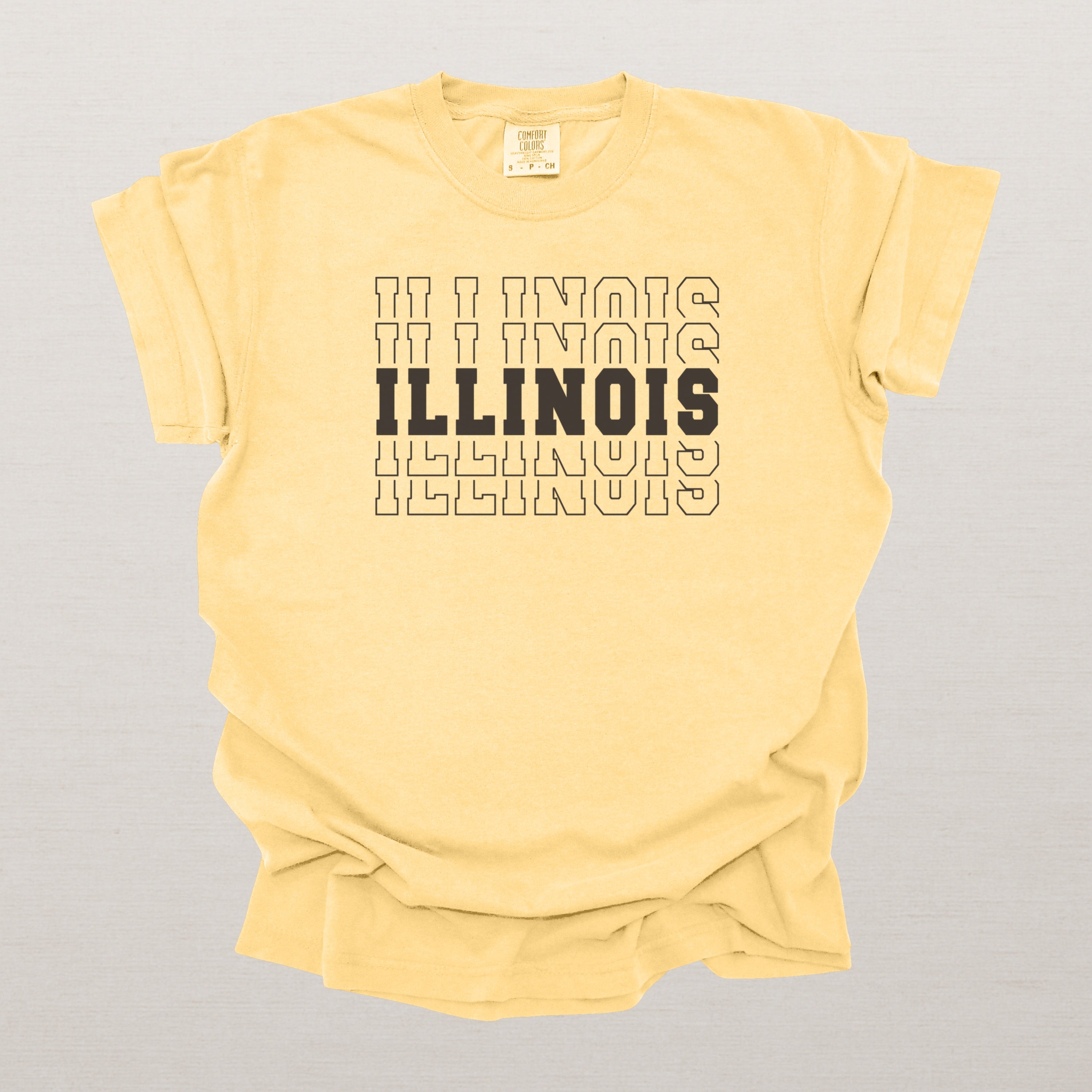 Illinois Varsity Echo State Shirt | Comfort Colors Black Text