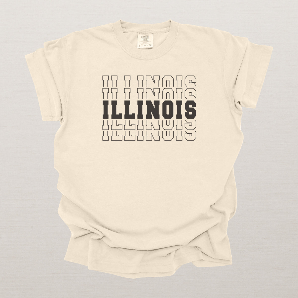 Illinois Varsity Echo State Shirt | Comfort Colors Black Text