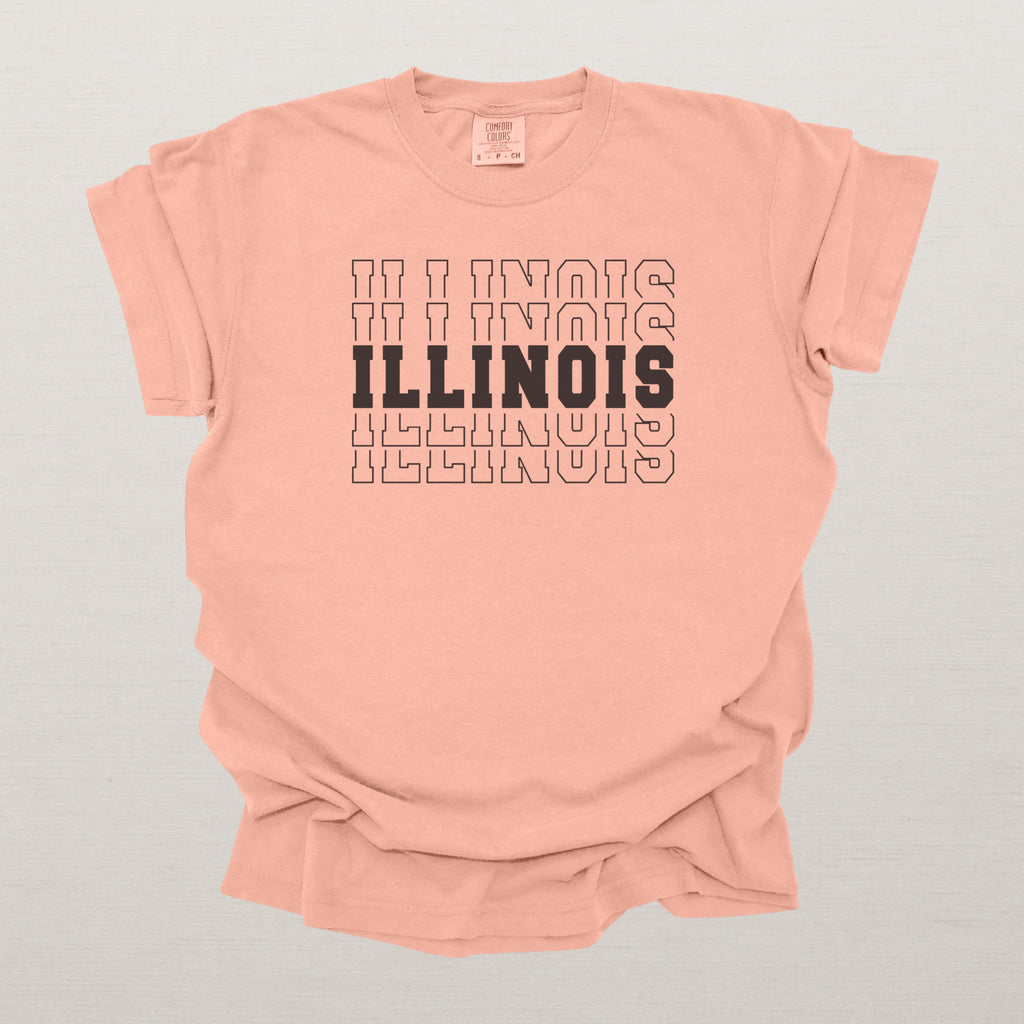 Illinois Varsity Echo State Shirt | Comfort Colors Black Text