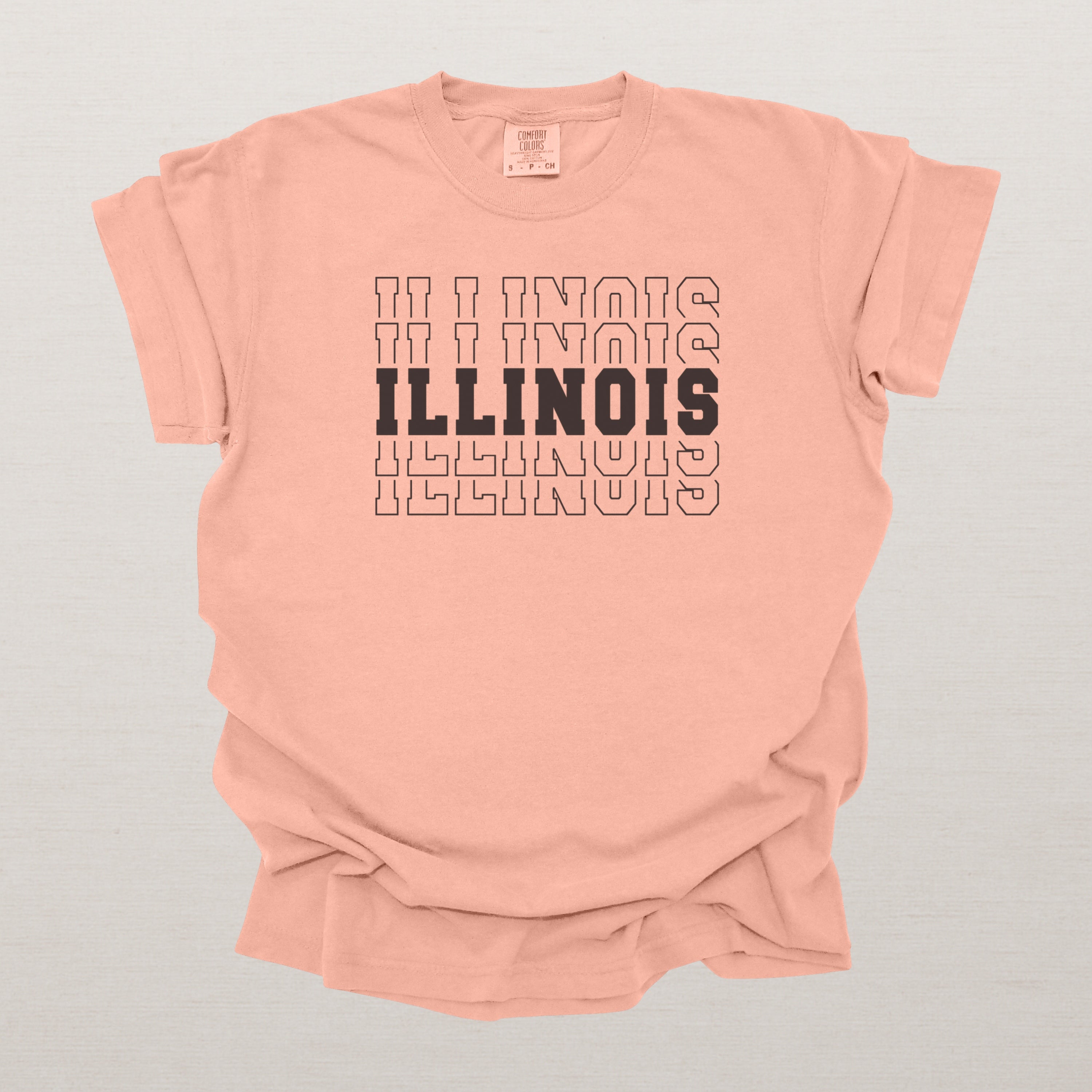 Illinois Varsity Echo State Shirt | Comfort Colors Black Text
