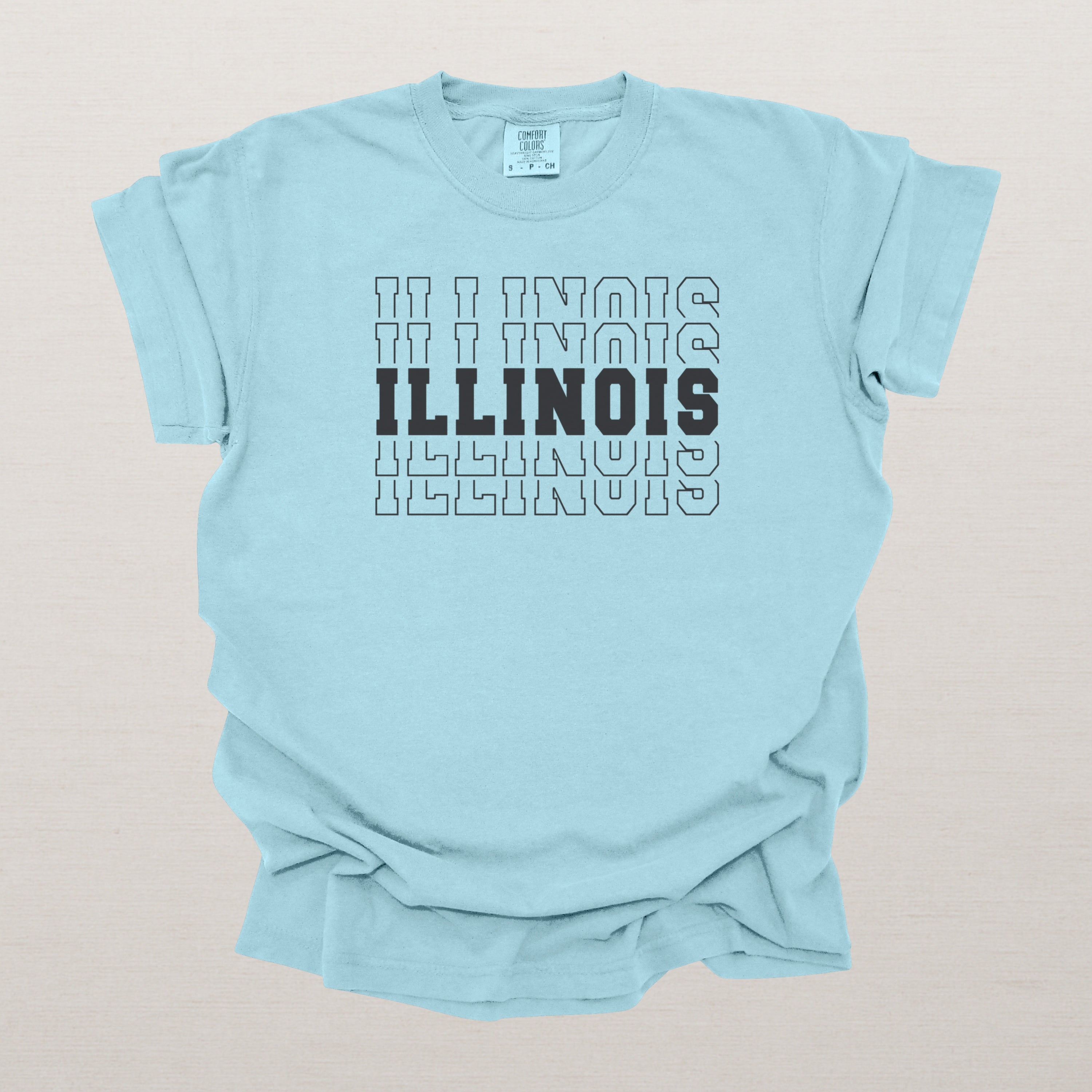 Illinois Varsity Echo State Shirt | Comfort Colors Black Text