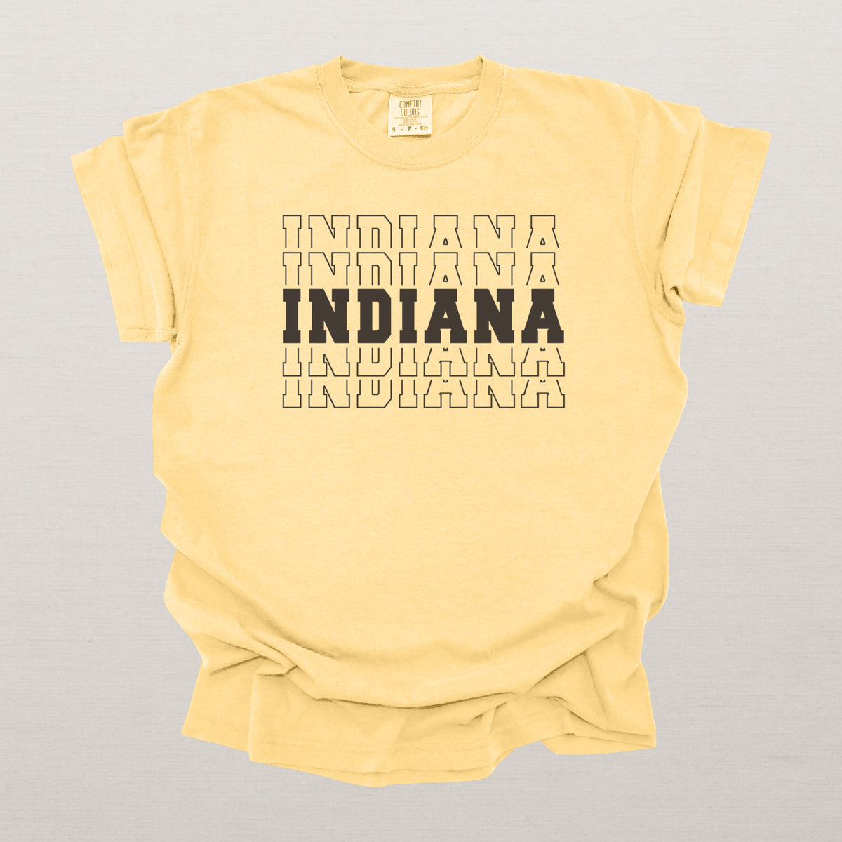 Indiana Varsity Echo State Shirt | Comfort Colors Black Text