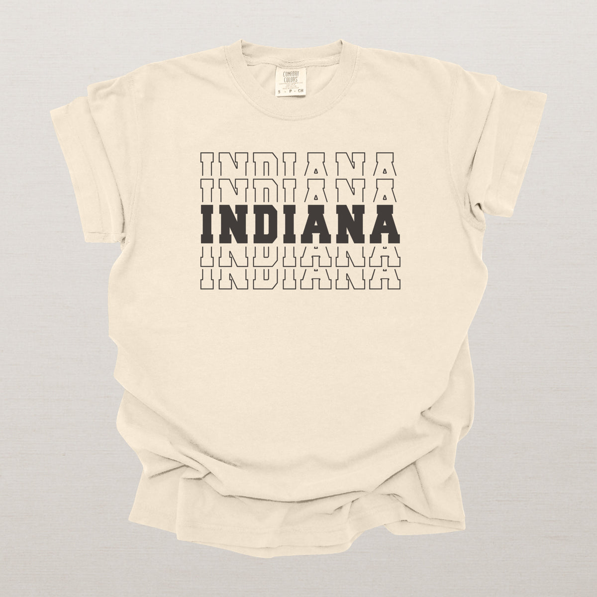 Indiana Varsity Echo State Shirt | Comfort Colors Black Text