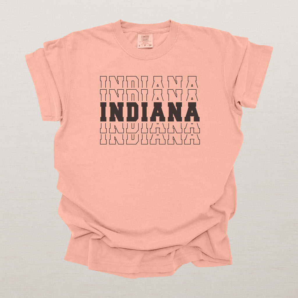 Indiana Varsity Echo State Shirt | Comfort Colors Black Text