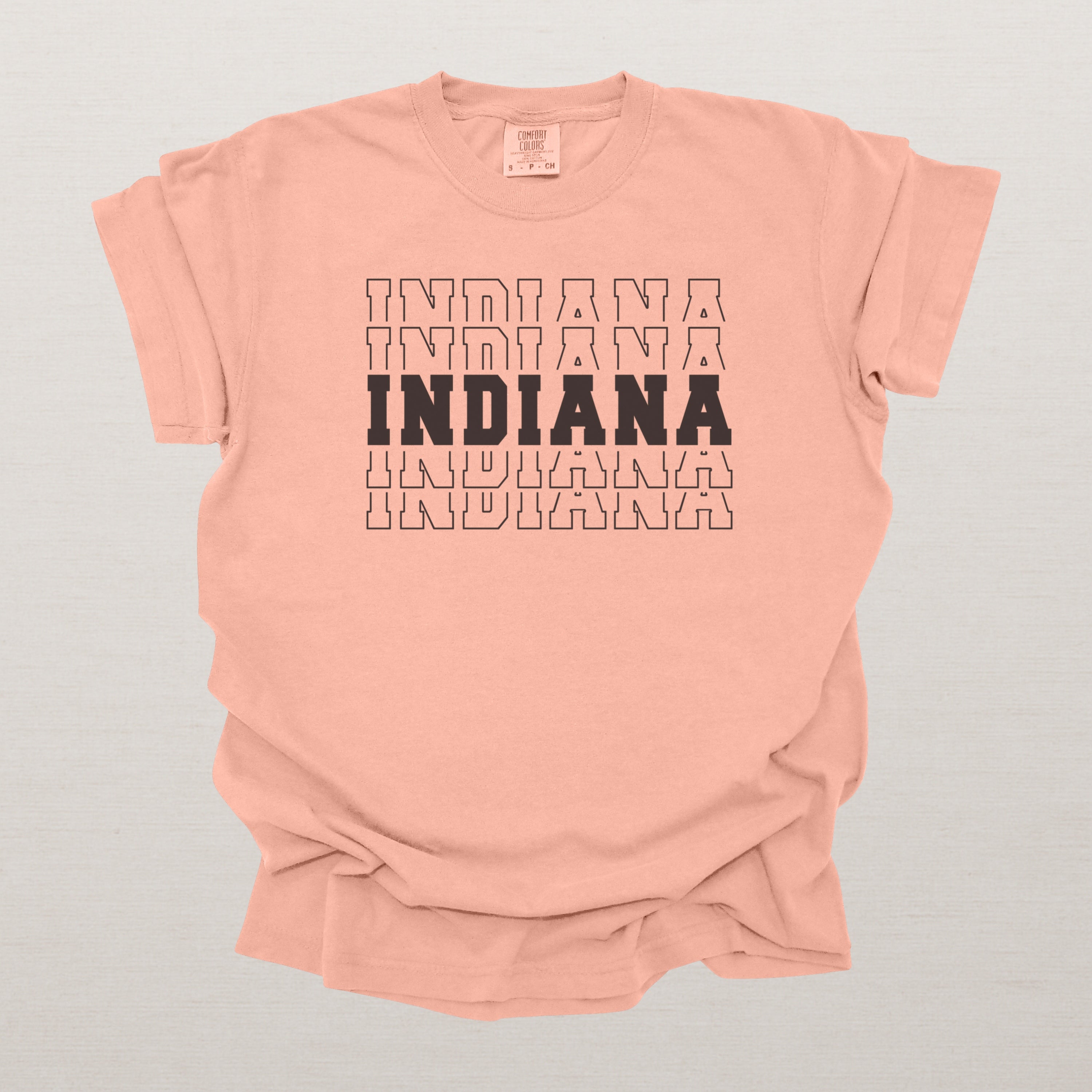 Indiana Varsity Echo State Shirt | Comfort Colors Black Text